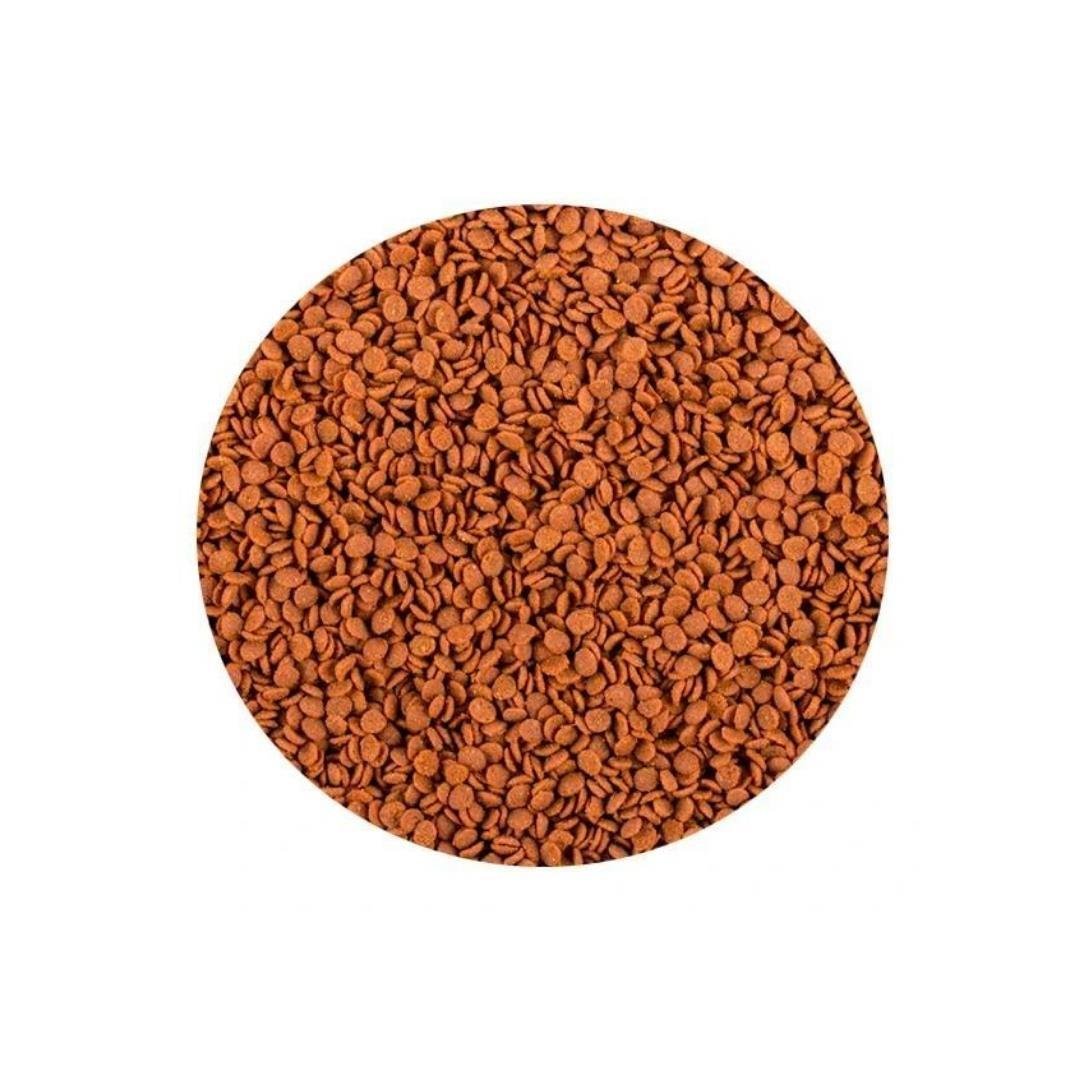 Tropical Soft Line Africa Carnivore Size M 250ml/130Gr