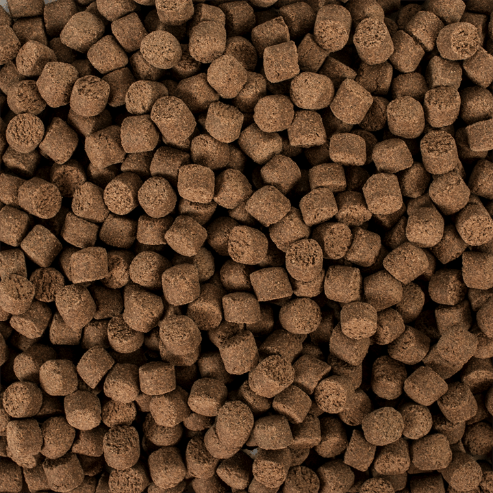 Tropical Sterillet Basic L Wor. 1000Ml/500Gr