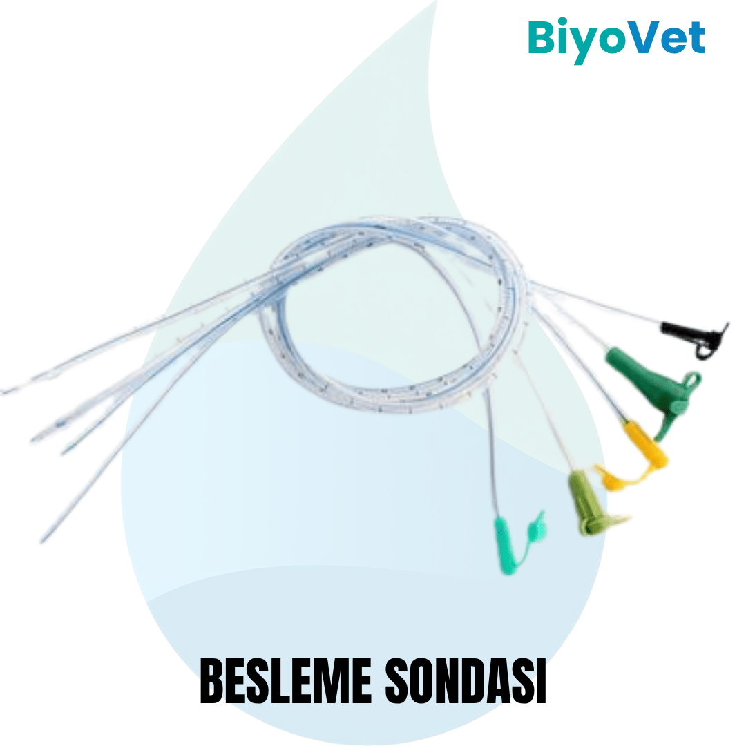 BESLEME SONDASI