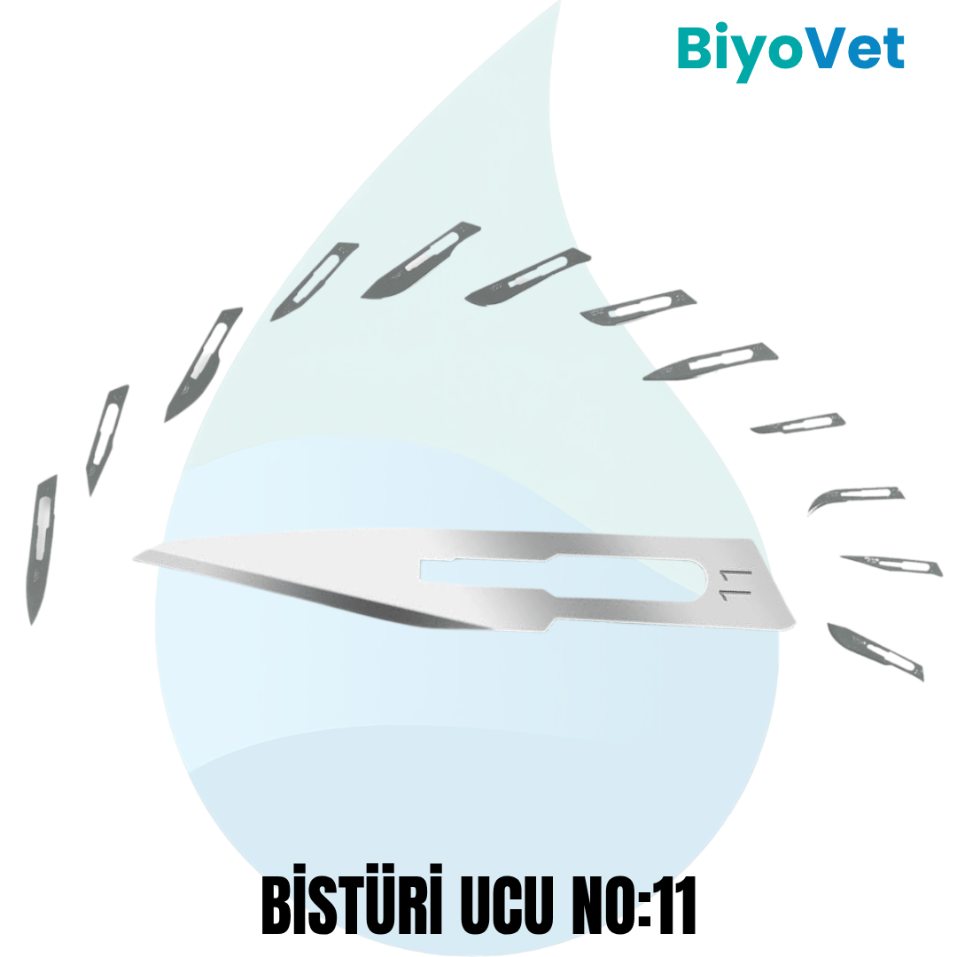 BİSTÜRİ UCU