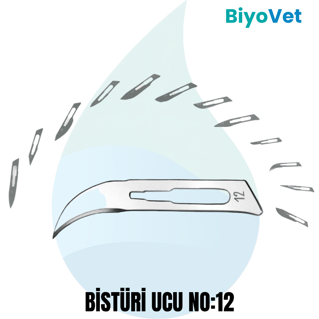BİSTÜRİ UCU
