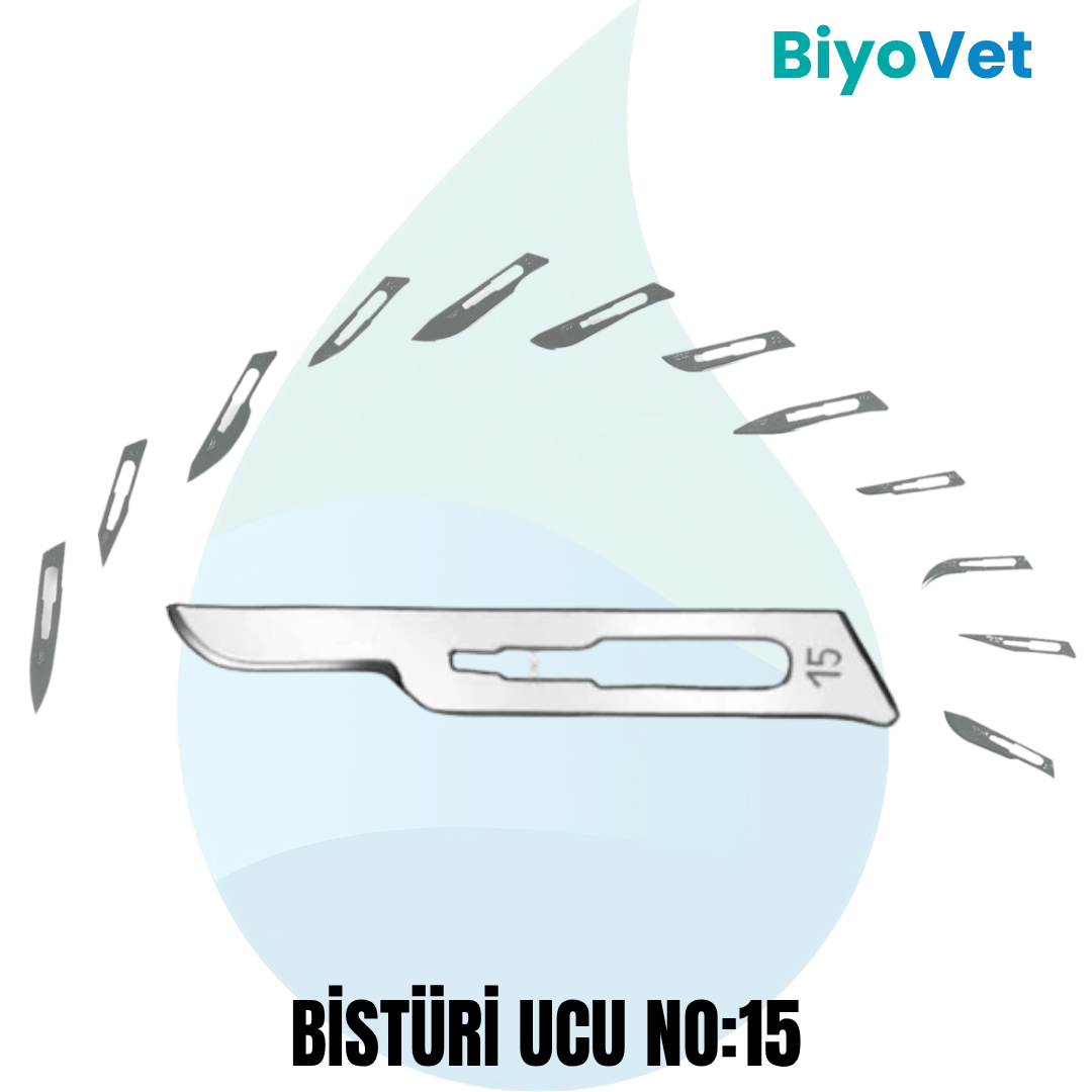 BİSTÜRİ UCU