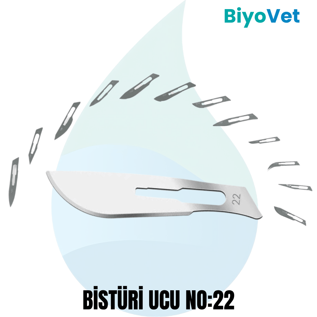 BİSTÜRİ UCU