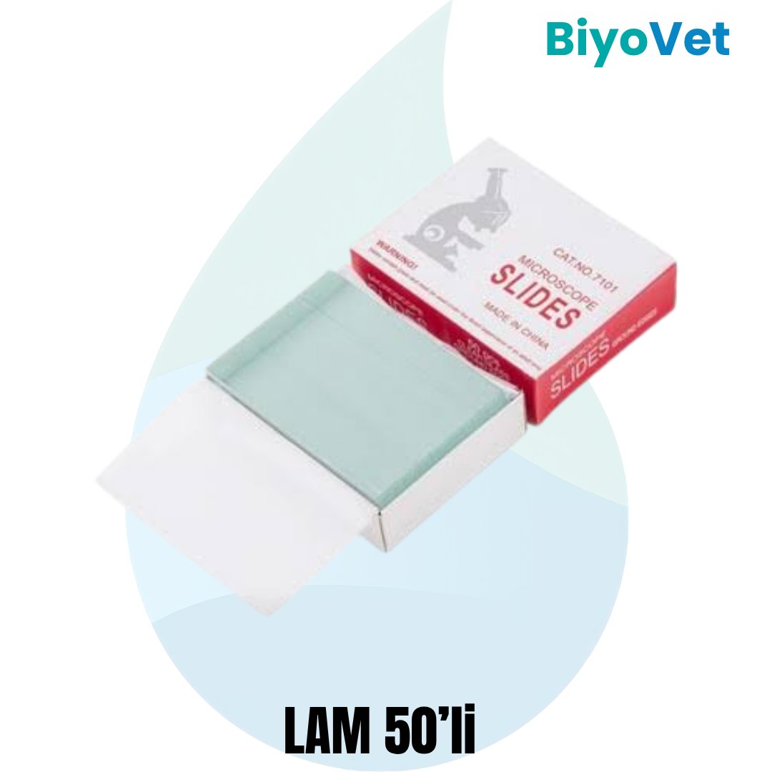 LAM 50'Lİ