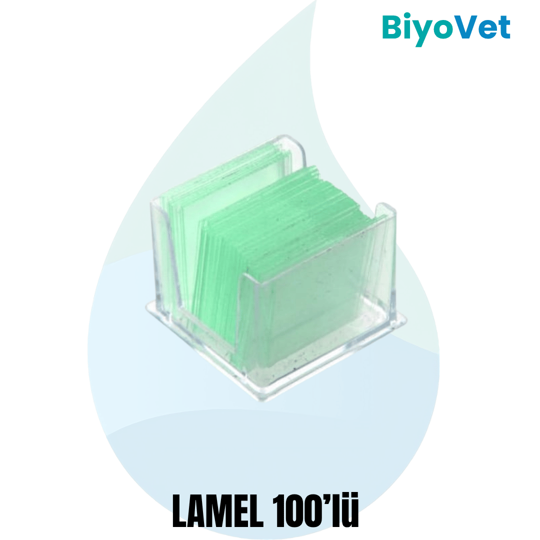 LAMEL 100'LÜ