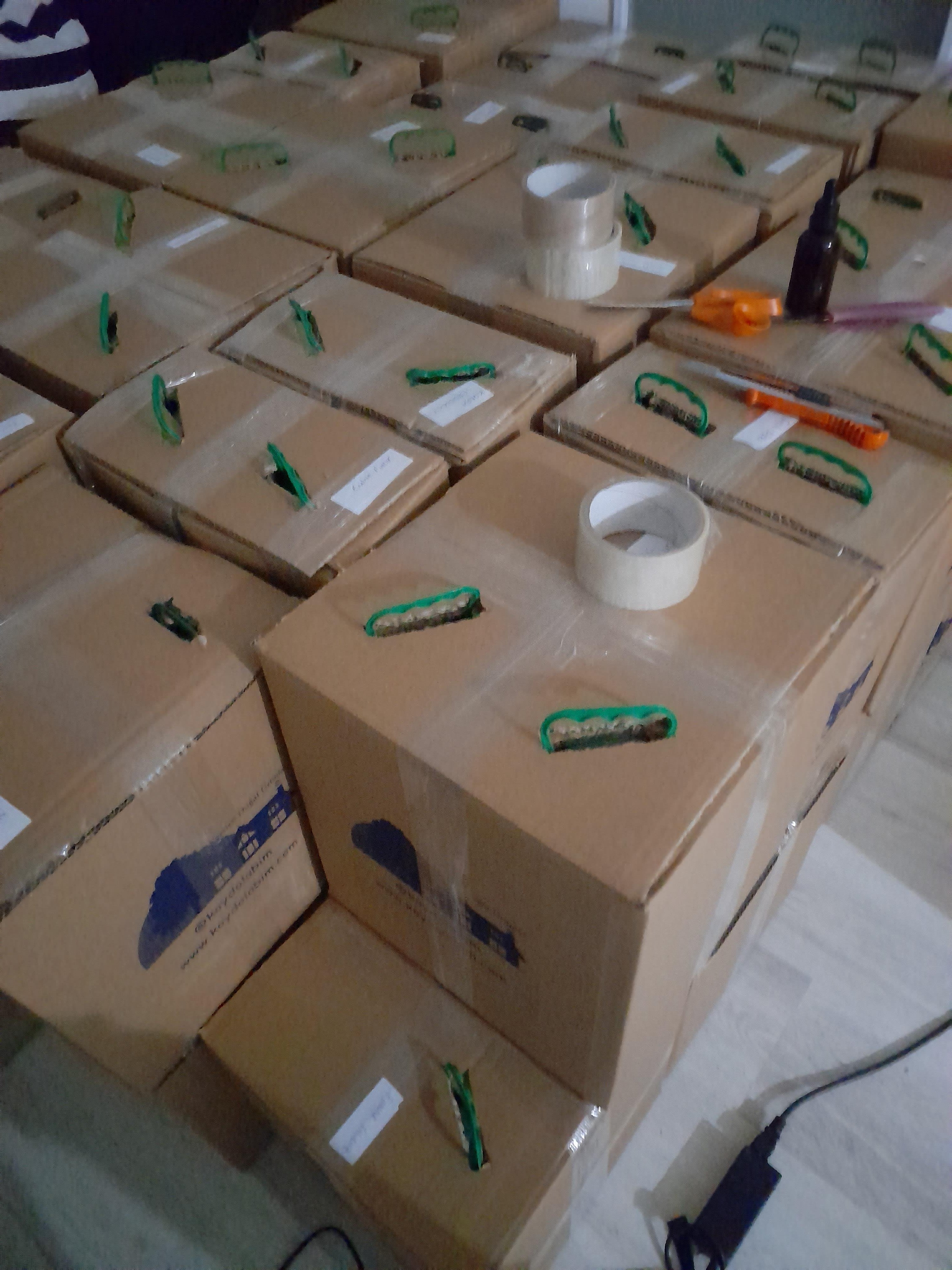 ZEYTİNYAĞI ERKEN HASAT 2 AD. 5LT KAMPANYALI