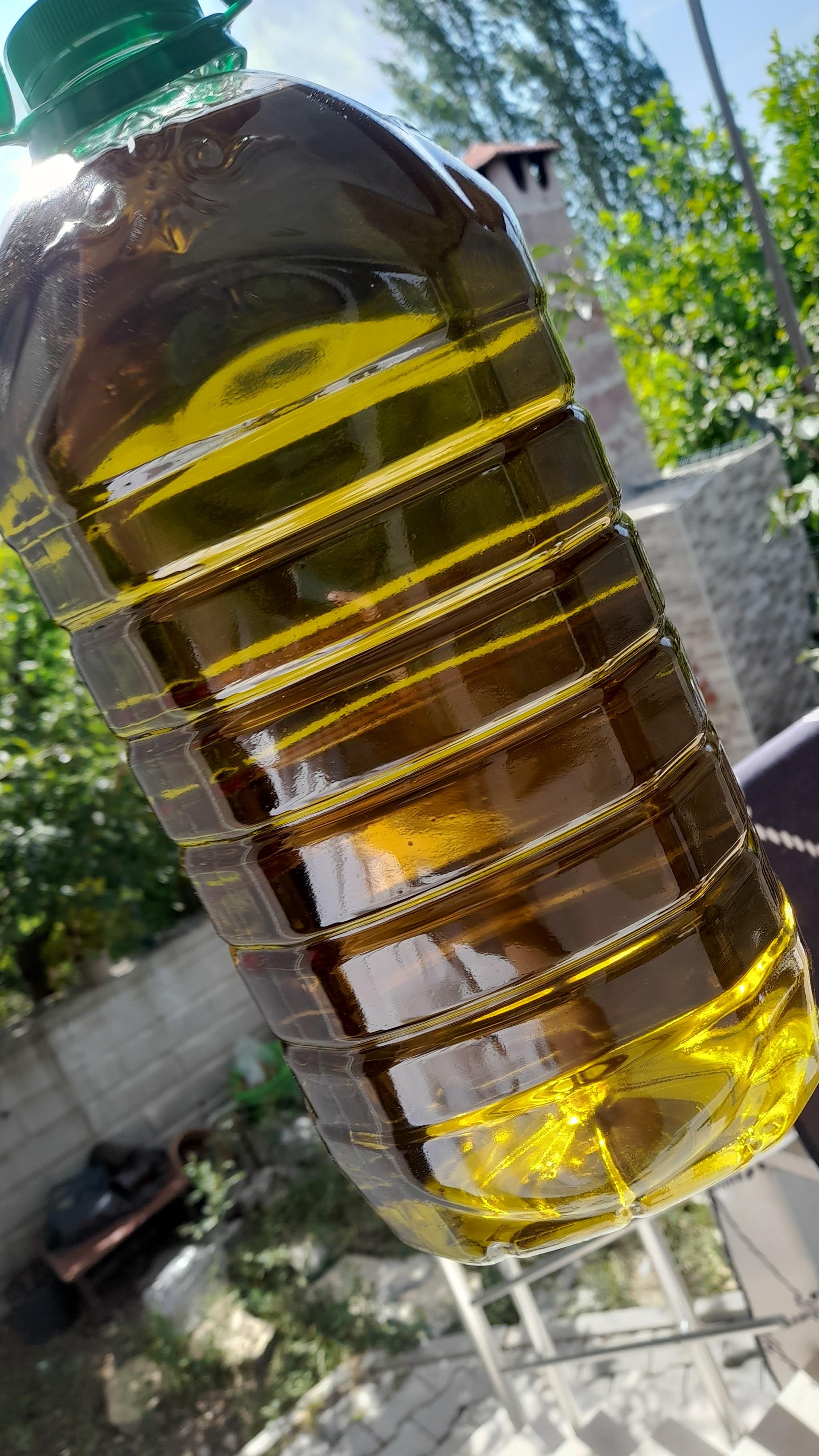 ZEYTİNYAĞI KASIM AYI 1.HAFTA SOĞUK SIKIM 5LT
