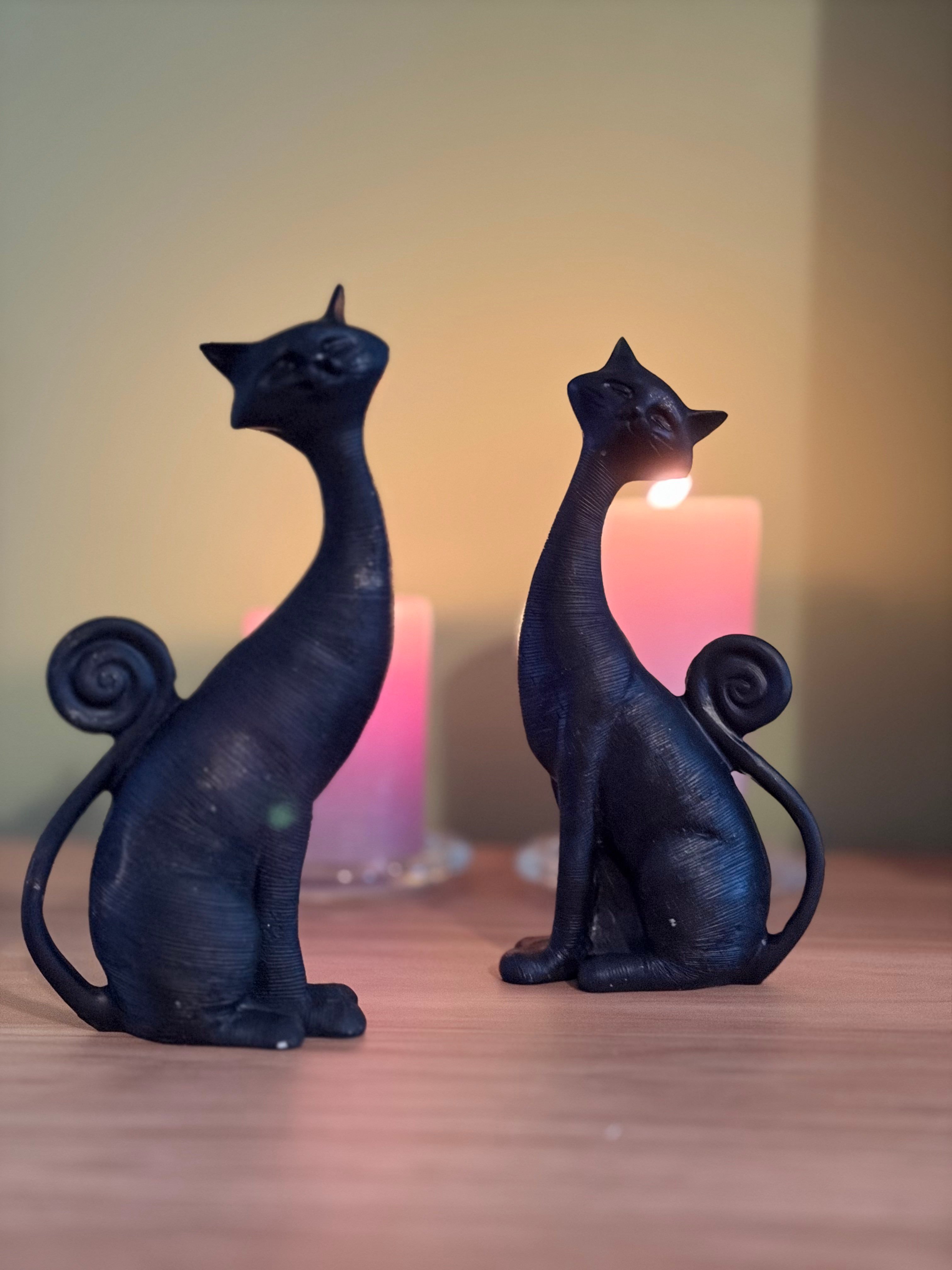 2'li Dekoratif Kedi Biblo Seti – Mat Siyah (21x11 cm)