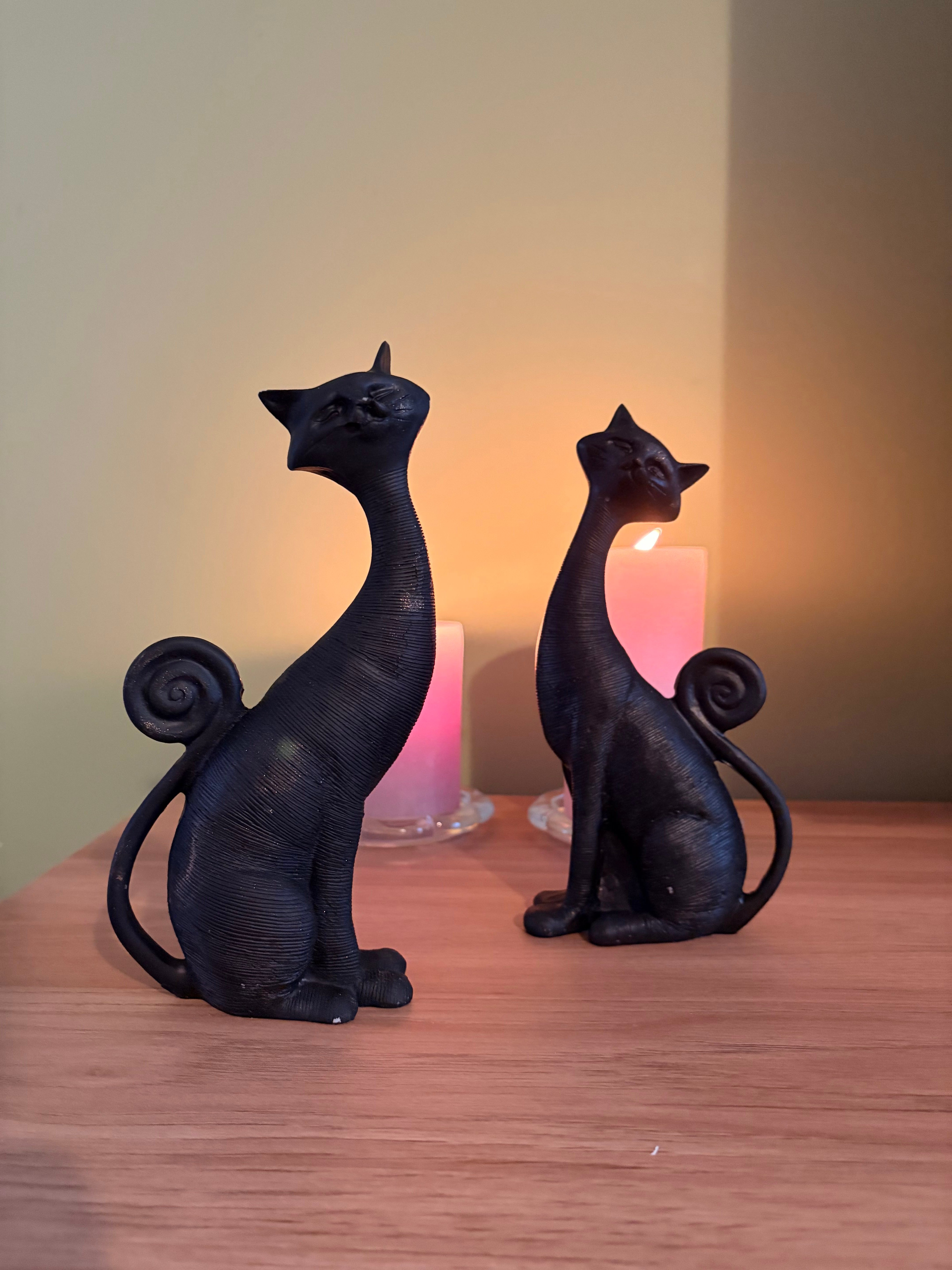 2'li Dekoratif Kedi Biblo Seti – Mat Siyah (21x11 cm)