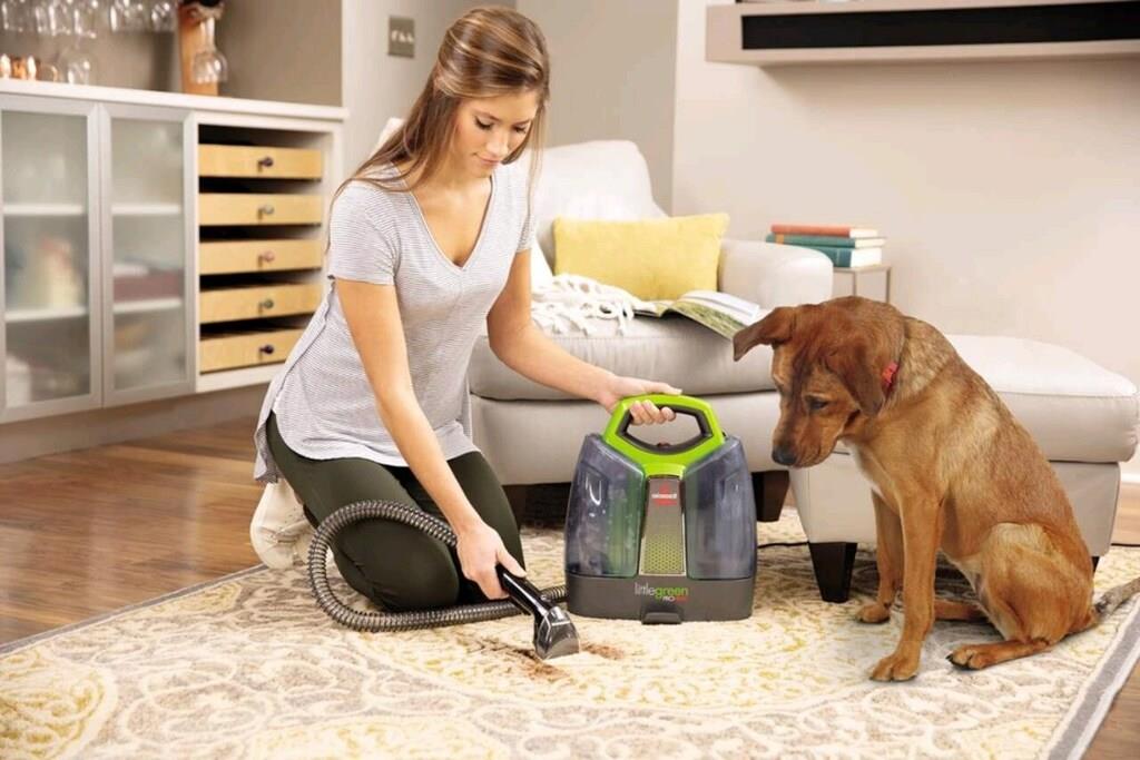 Bissell Little Green® ProHeat® Pet Portable Carpet Cleaner | 2513N