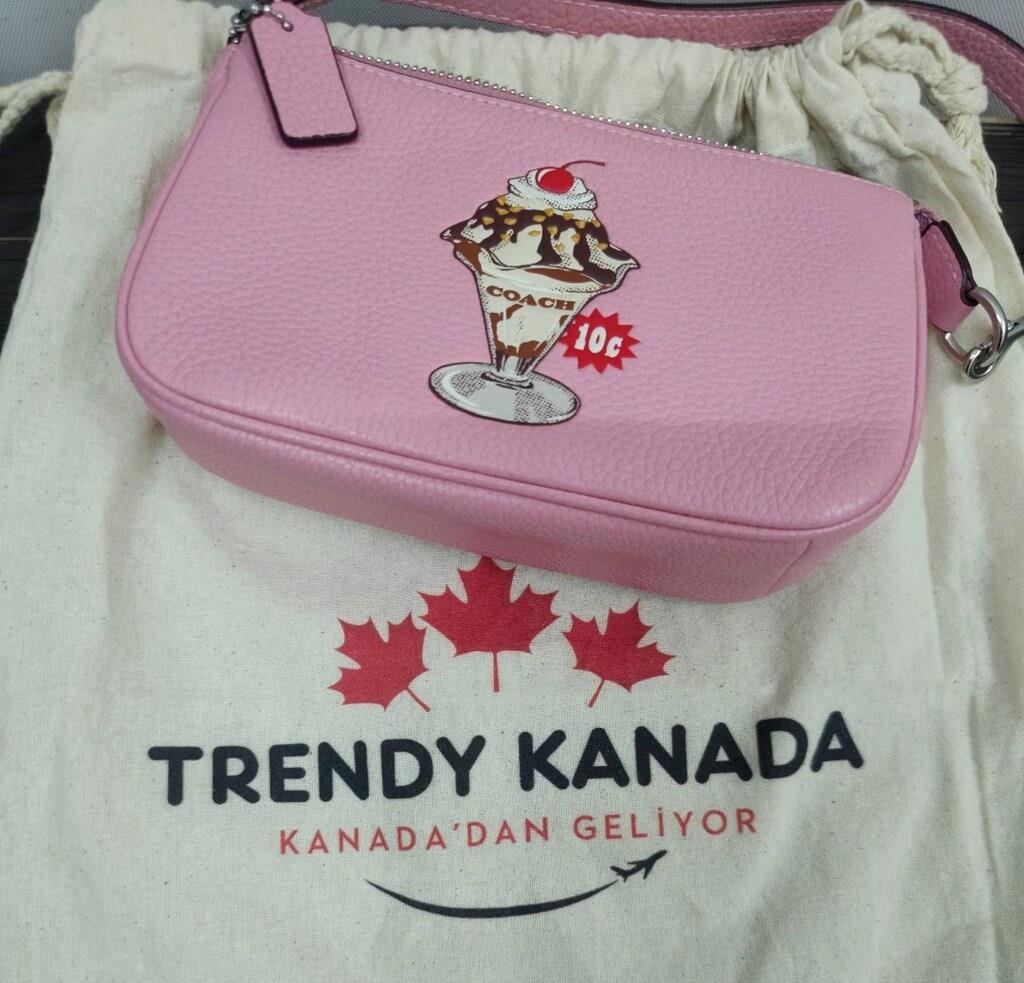 Coach Nolita 19 With Sundae Graphic Bag