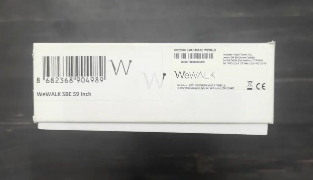 WeWalk Akıllı Baston