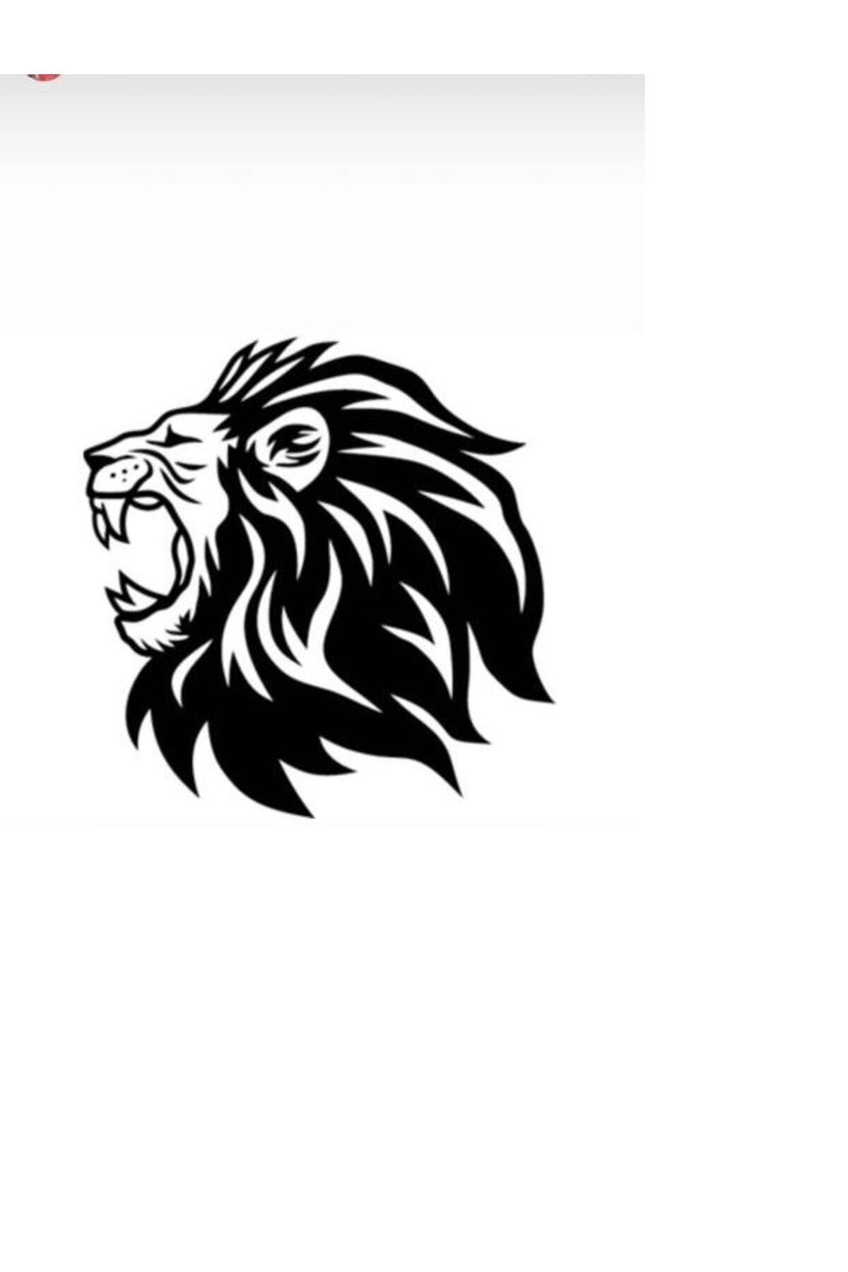 Aslan Tasarımlı Oto özel yeni sticker 40*40 Cm