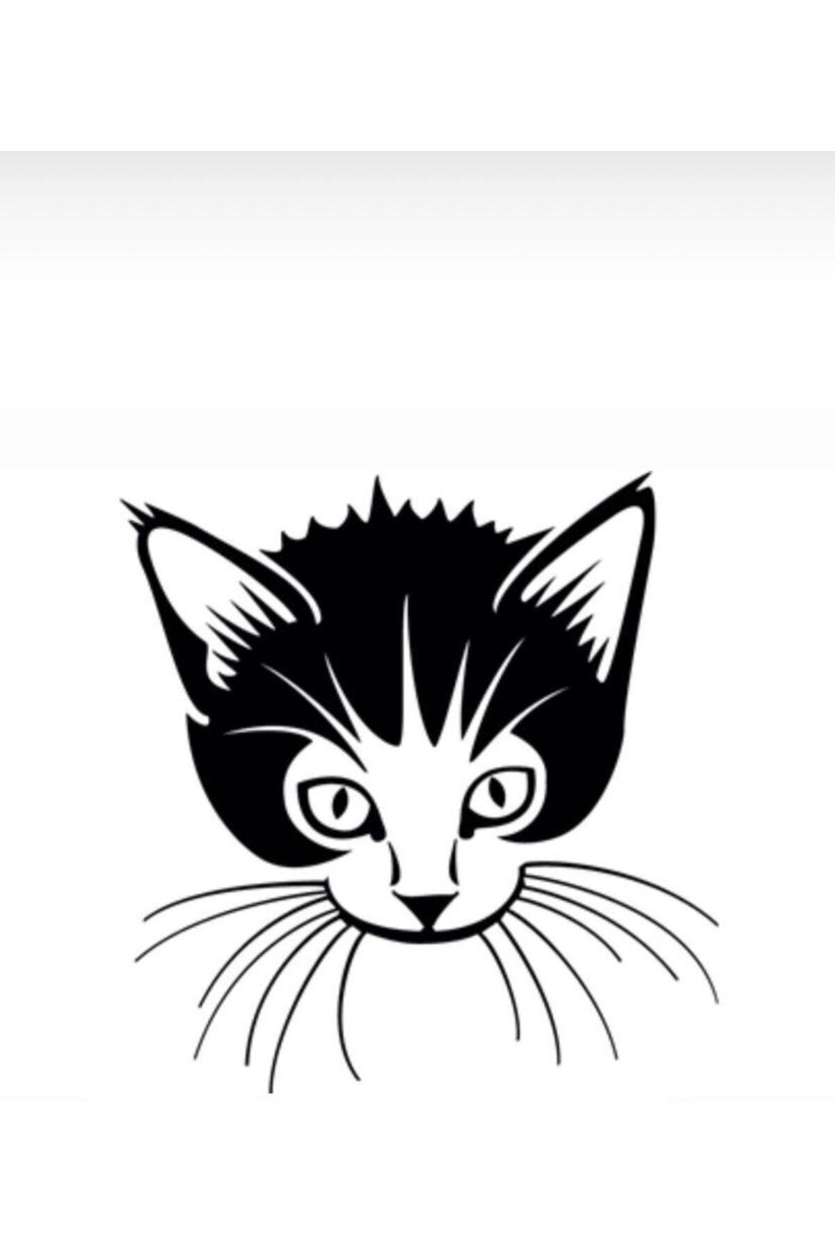 Cingöz Kedi Oto özel yeni sticker Siyah 40*40 Cm