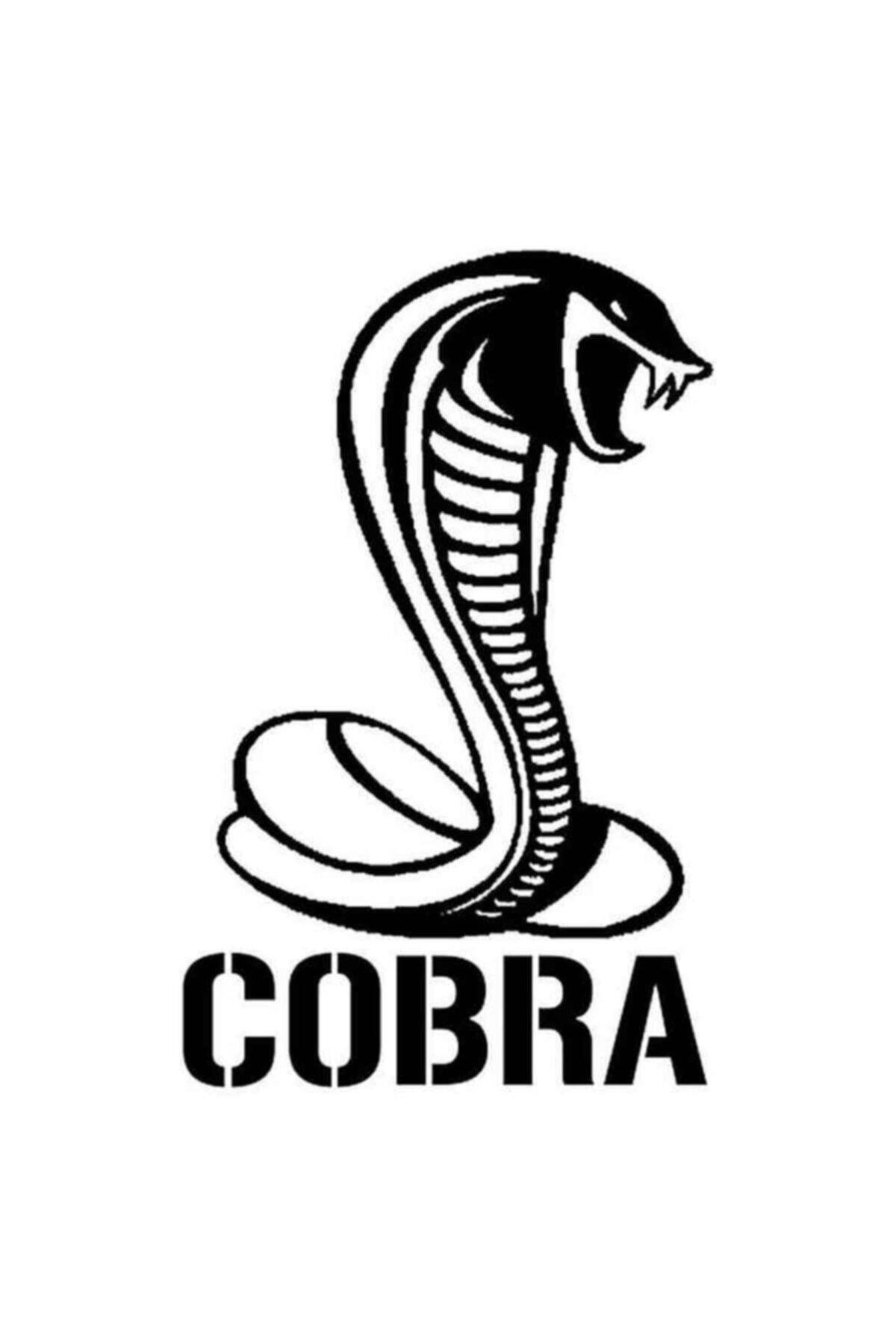 Cobra Oto özel yeni sticker 20 Cm
