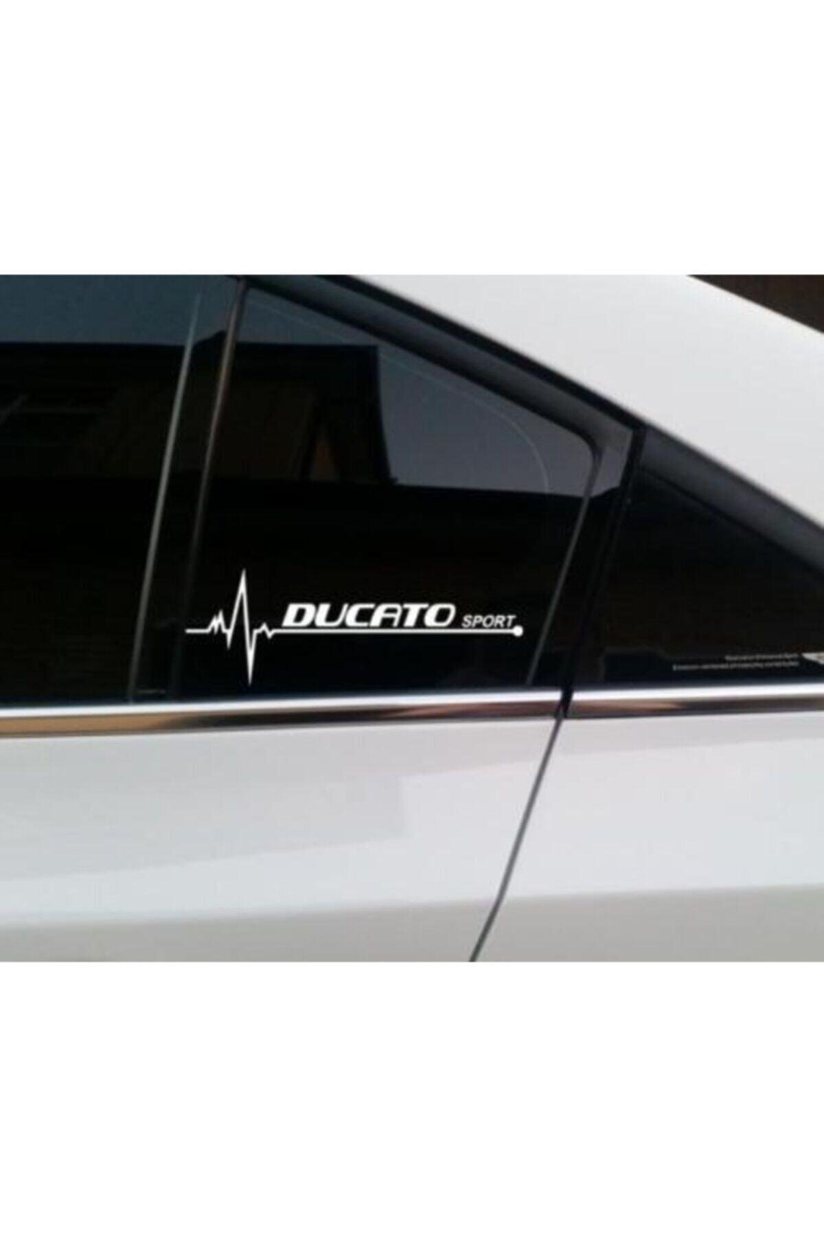 Fiat Ducato İçin şık tasarım karbon sticker seti Aksesuar Oto Yan Cam özel yeni sticker