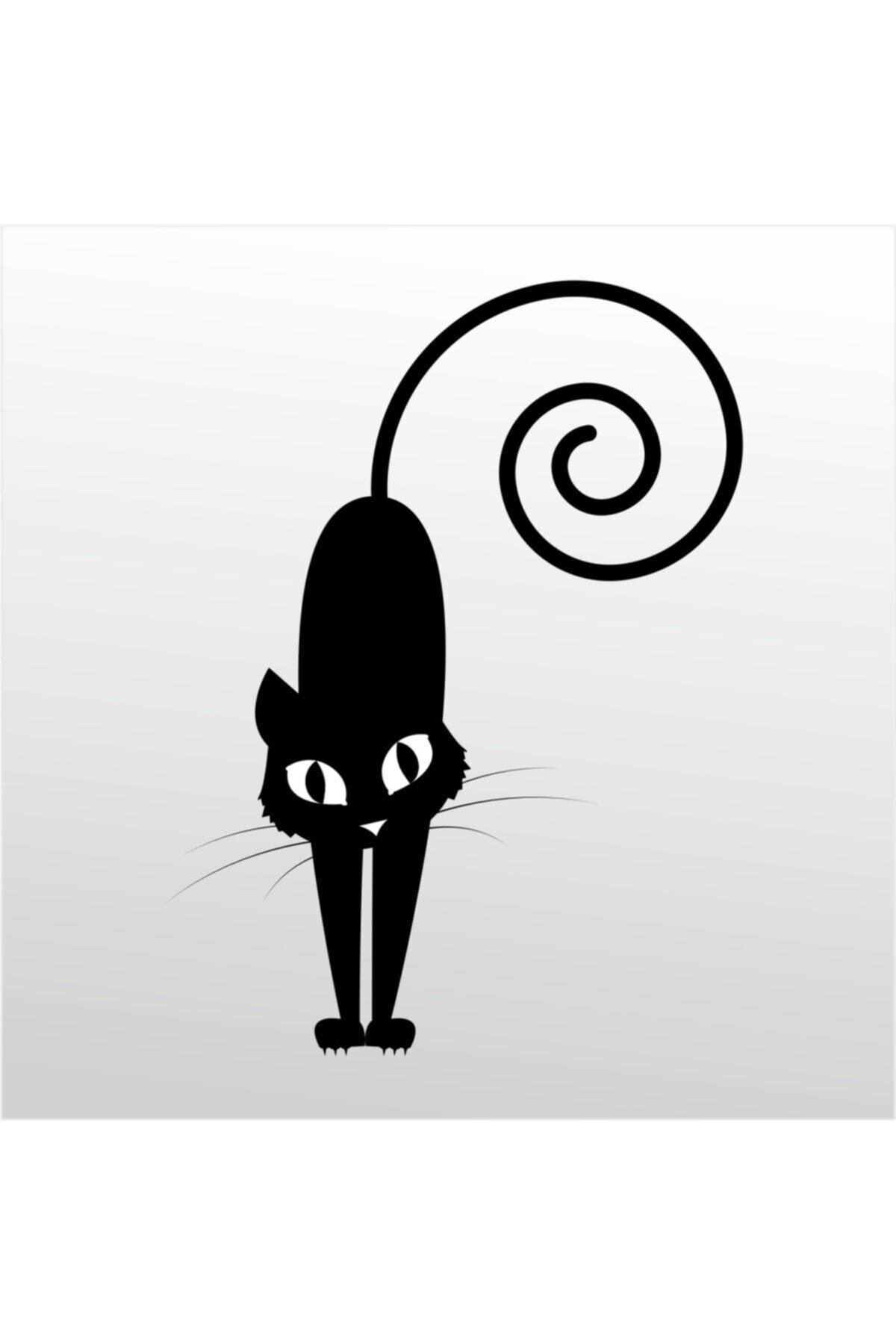 Folyo özel yeni sticker Kedi 107