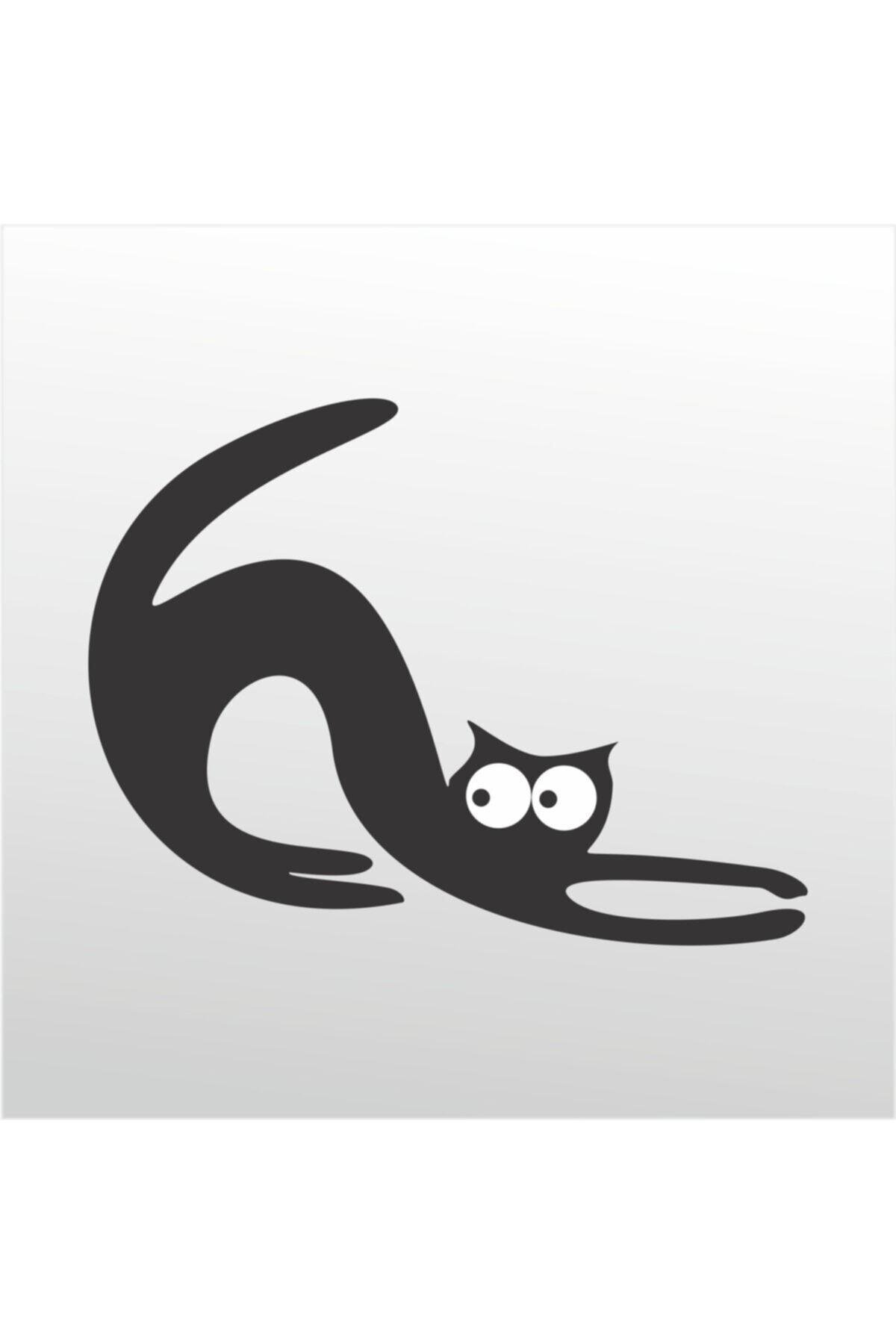 Folyo özel yeni sticker Kedi 115