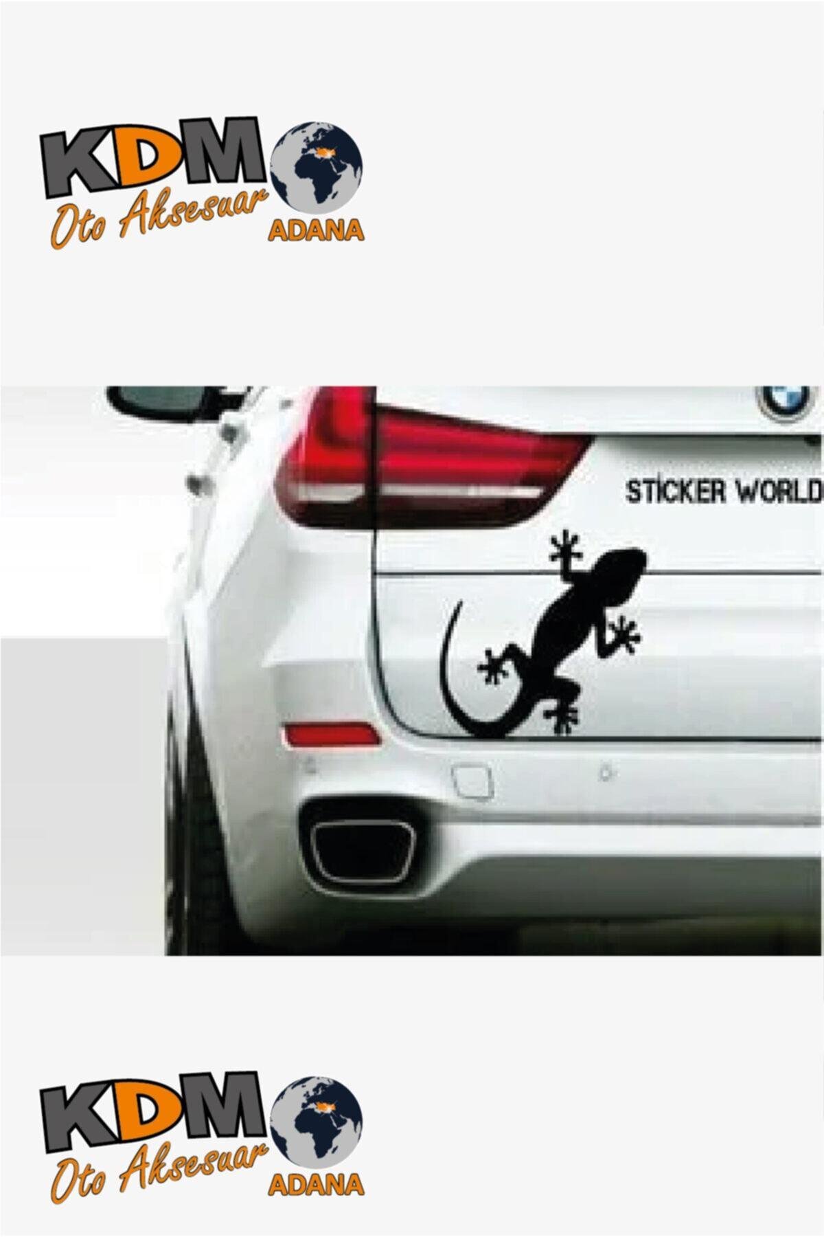 Kertenkele Tasarım Oto özel yeni sticker Sarı 15*10 Cm
