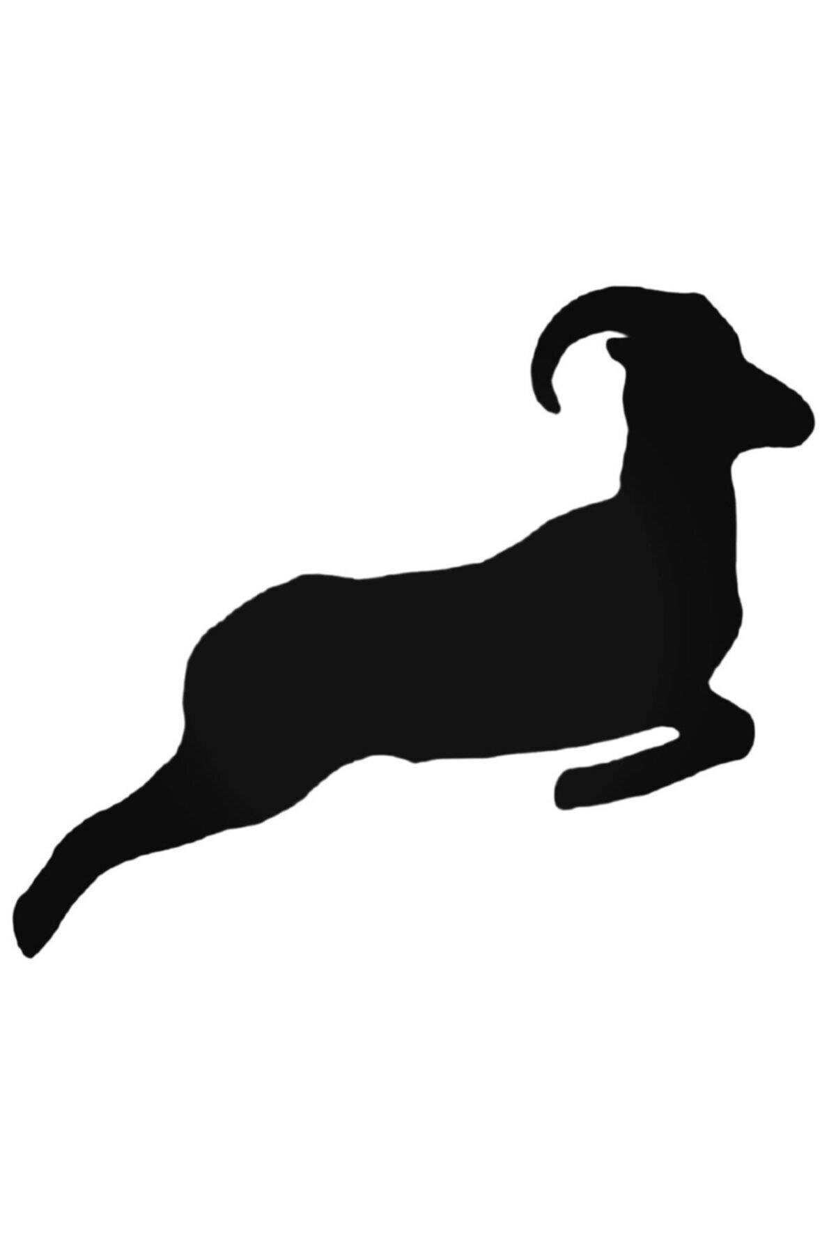 Koç 5 Oto özel yeni sticker 20 Cm