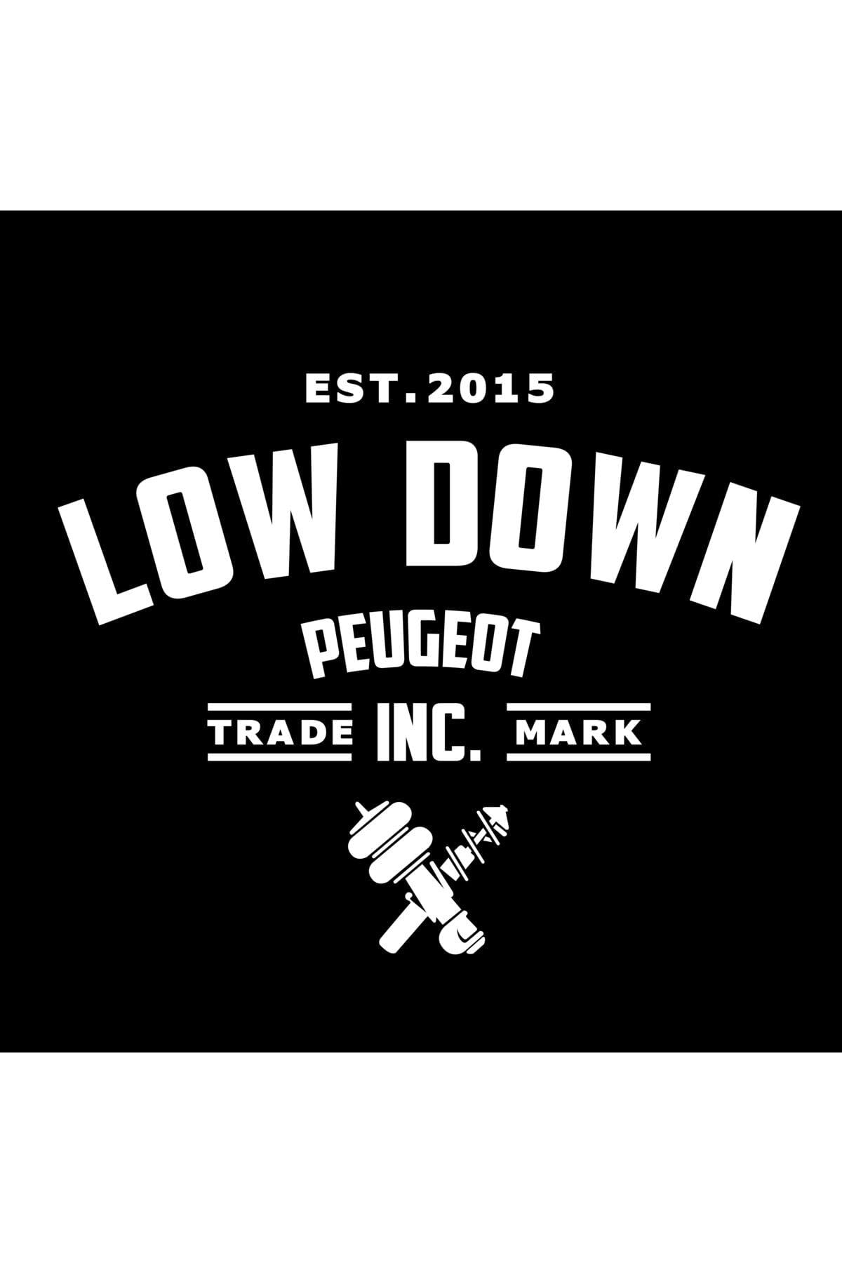 Low Down Peugeot Arka Cam özel yeni sticker