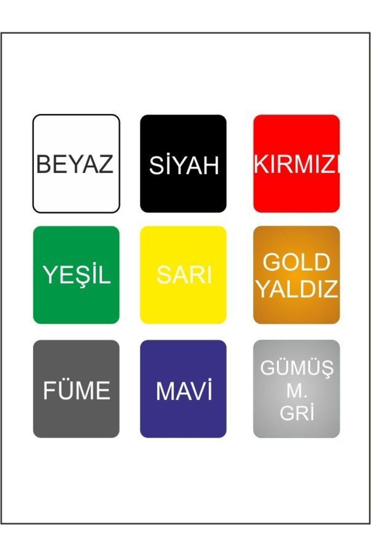Renault Sport Kapı Kolu özel yeni sticker Set 8 Ad 12*1 Cm