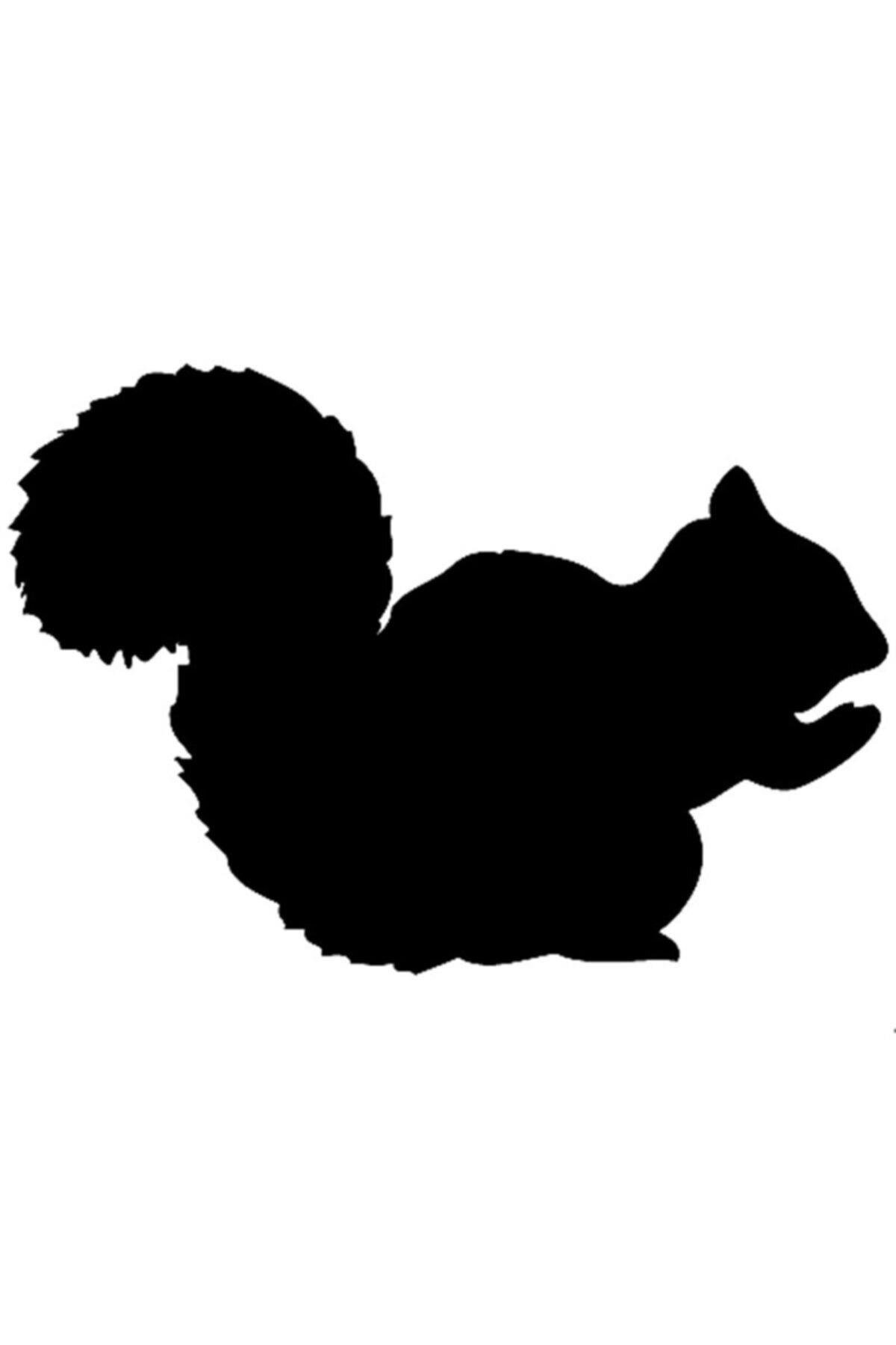 Sevimli Sincap Tasarım Oto özel yeni sticker Siyah 10*10 Cm