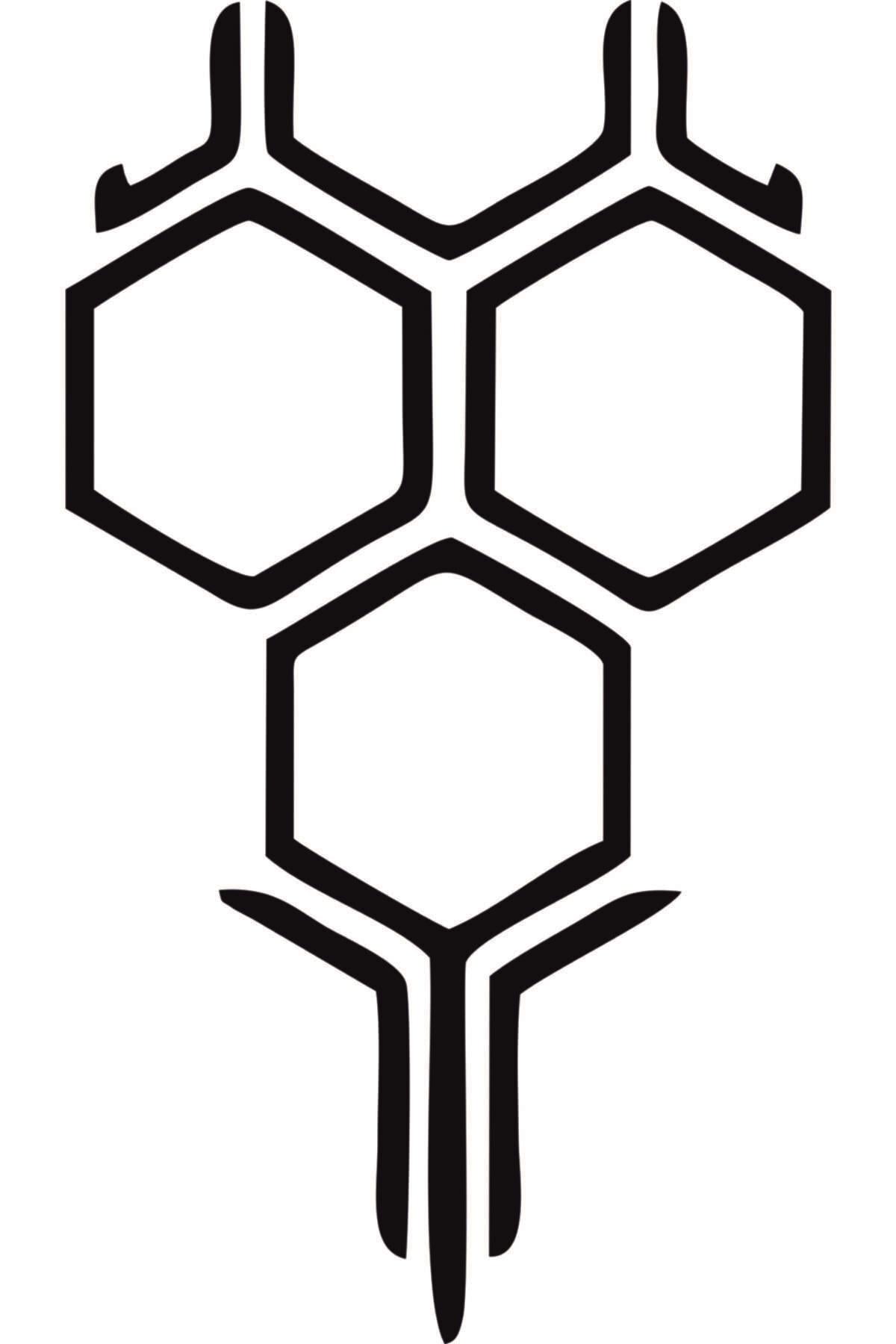 Siyah Petek Ön Kaput Network özel yeni sticker 35*60 Cm