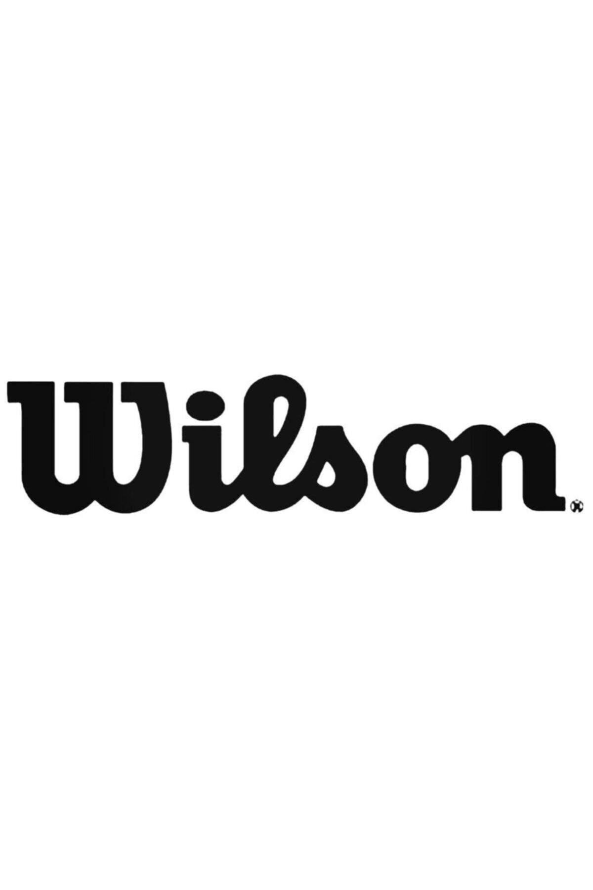 Wilson Logo Oto özel yeni sticker 20 Cm