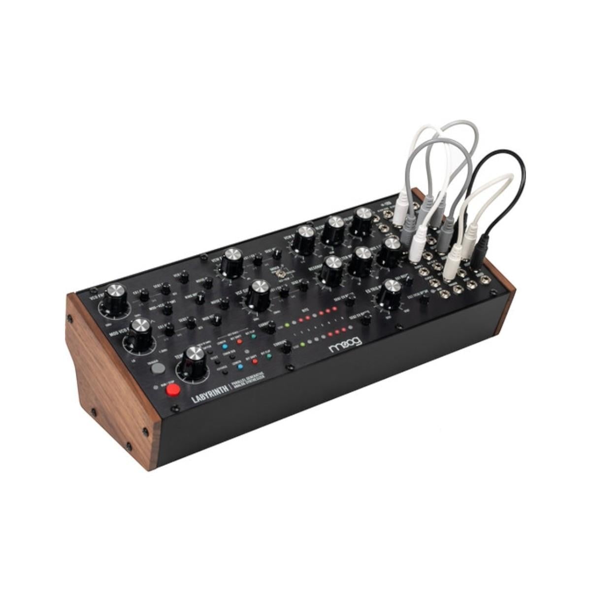 Moog Labyrinth
