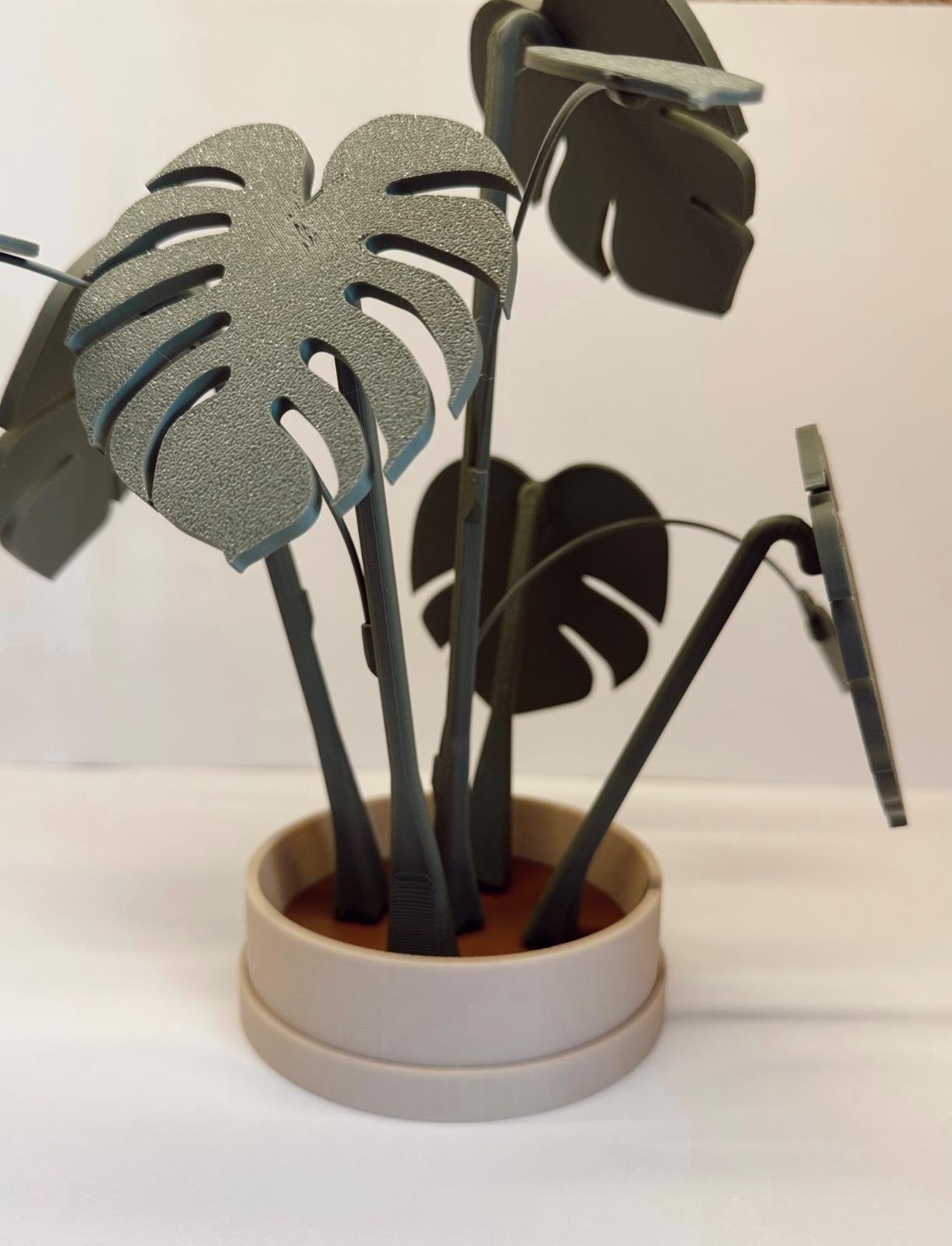 Monstera Bardak Altlığı 