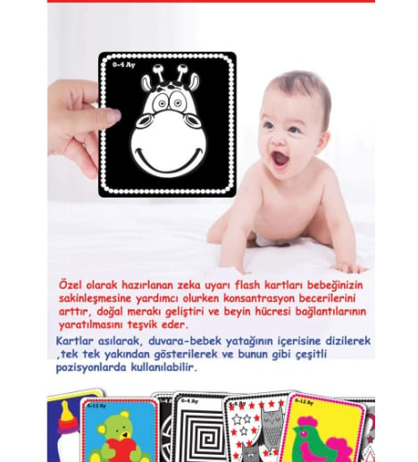  BEBEĞİMİN İLK ZEKA KARTLARI