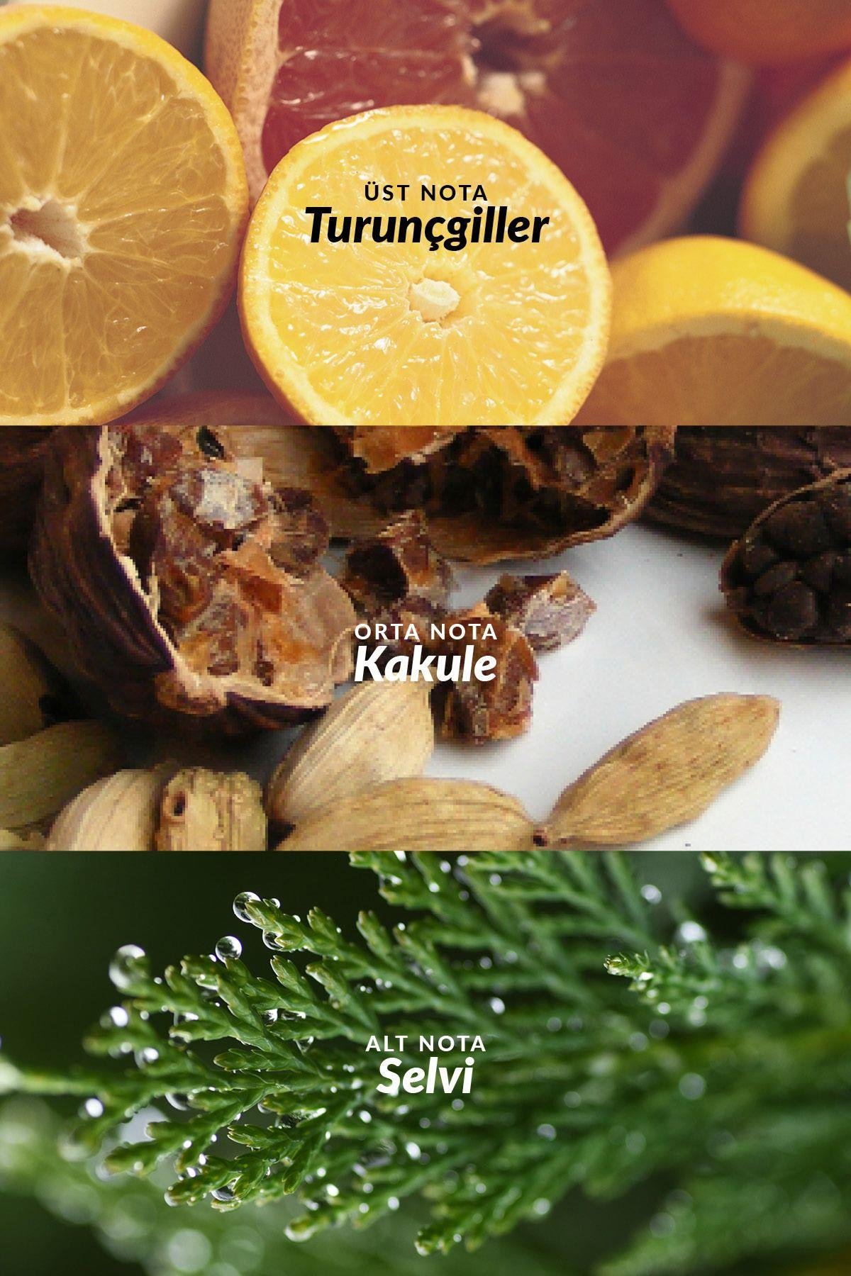 Full Speed 75 Ml. Erkek Parfüm