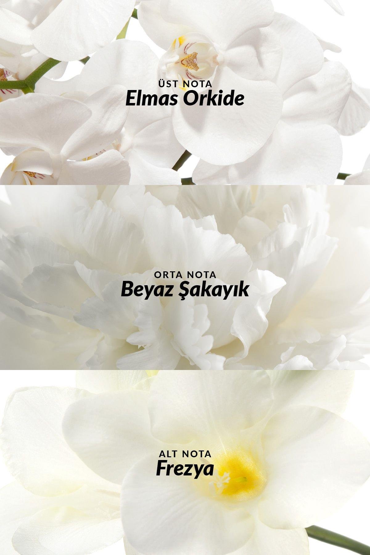 Incandessence Kadın Parfüm Edp 50 Ml.