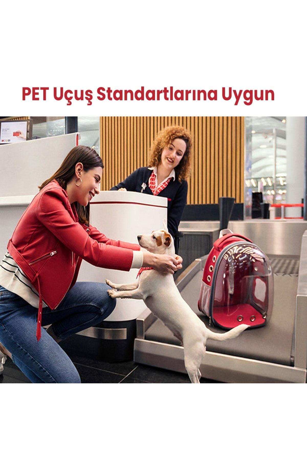 Kedi Köpek Oto Koltuğu Taşınabilir Araç Koltuğu – Emniyet Klipsli, Yıkanabilir Kumaş,