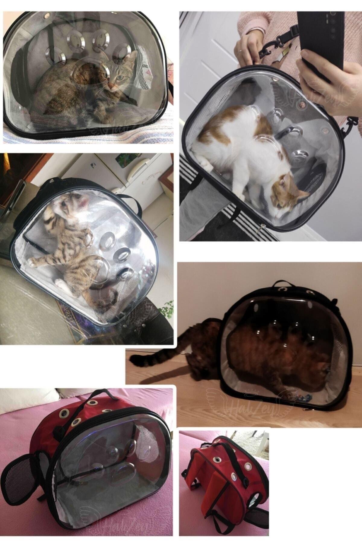 Kedi Köpek Oto Koltuğu Taşınabilir Araç Koltuğu – Emniyet Klipsli, Yıkanabilir Kumaş,
