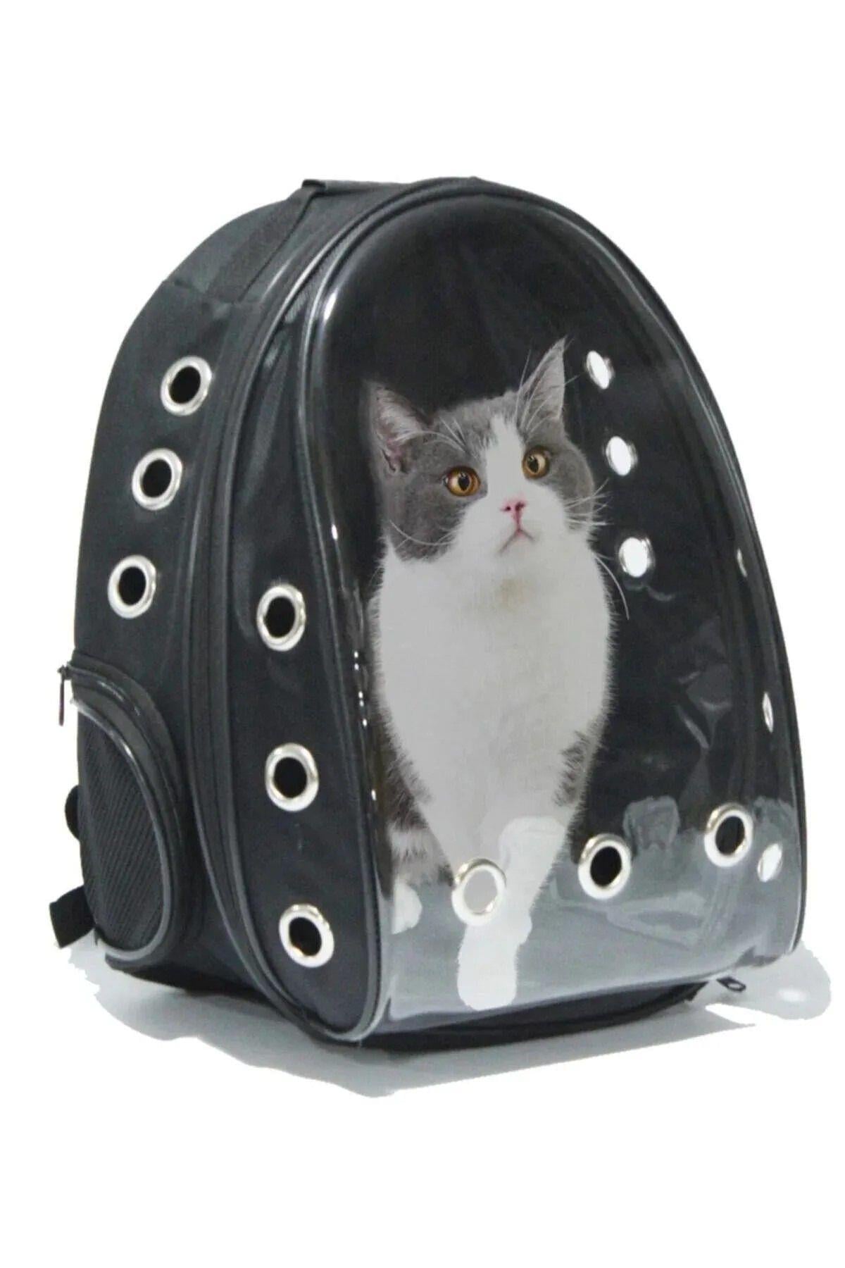 Kedi Köpek Taşıma Çantası, Sıvı Geçirmez, XRAY Şeffaf PVC Ön Panel, 14 Hava Kanallı, 2 File Cepli