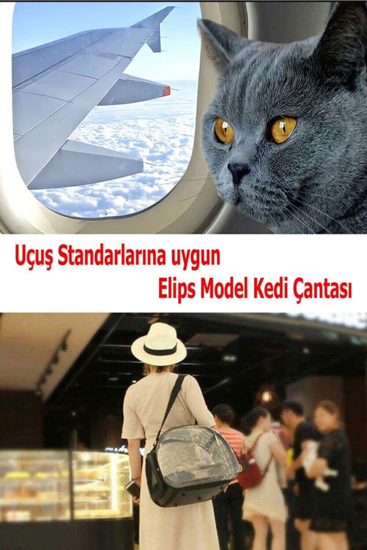 Pati Desen Kedi Köpek Sırt Kol Ve Omuzda Taşınabilir Evcil Hayvan Taşıma Çanta Kırmızı
