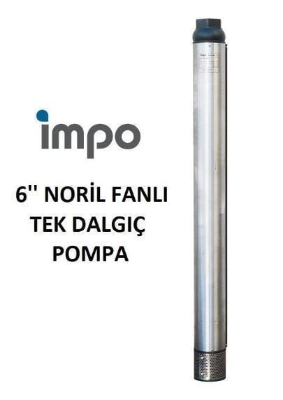 İMPO SN660/02 5,5 HP 6