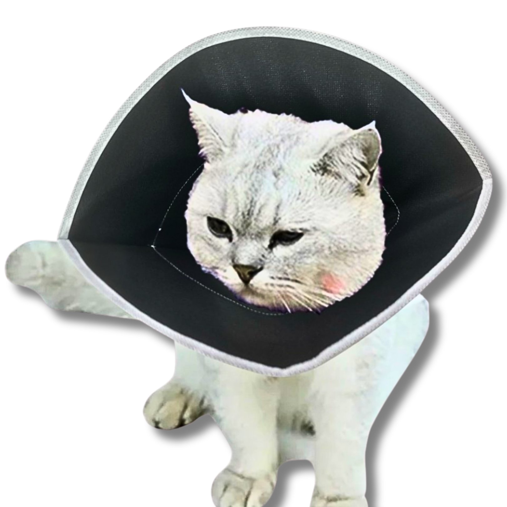 Bez Kedi Yakalığı
