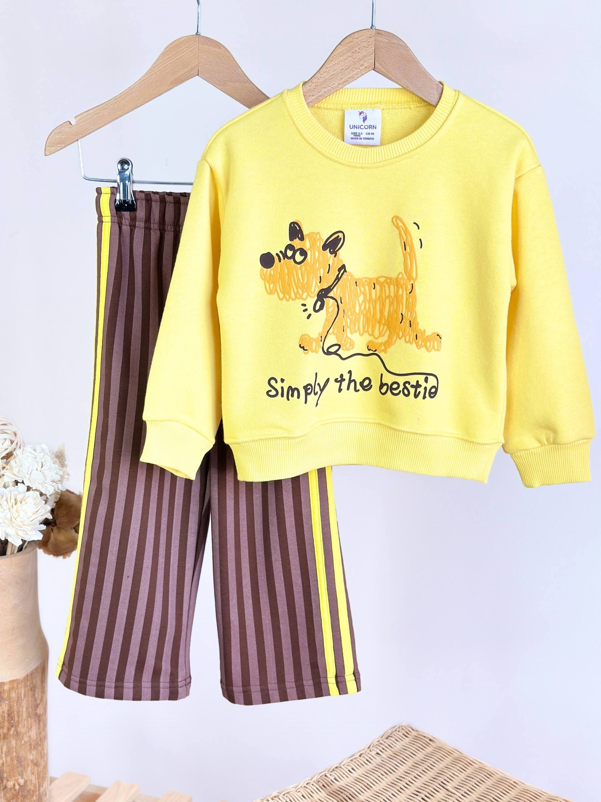 Buddy Dog Kahve Çizgili Takım