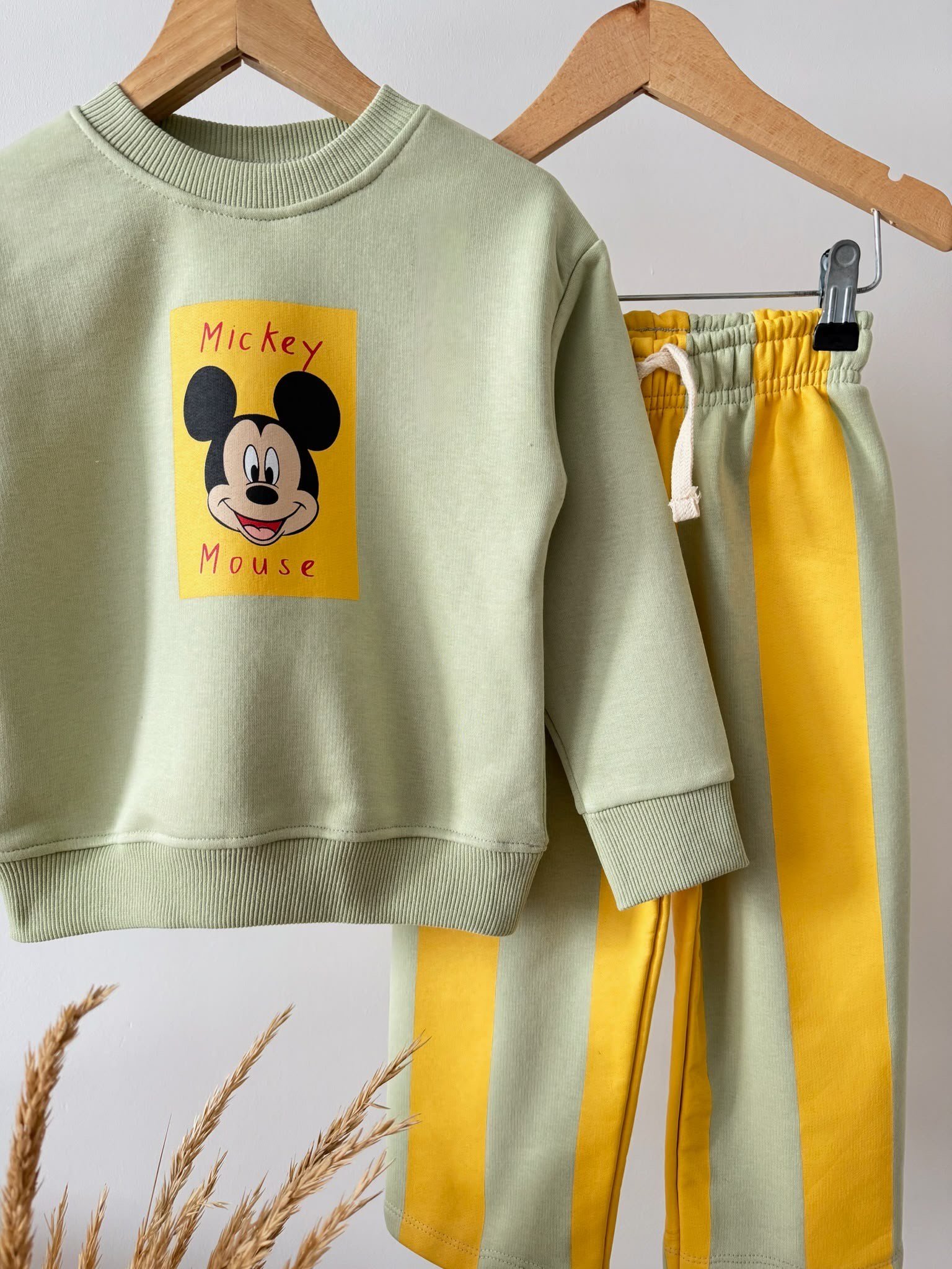 Mickey Mouse Çizgili Eşofman Takım 