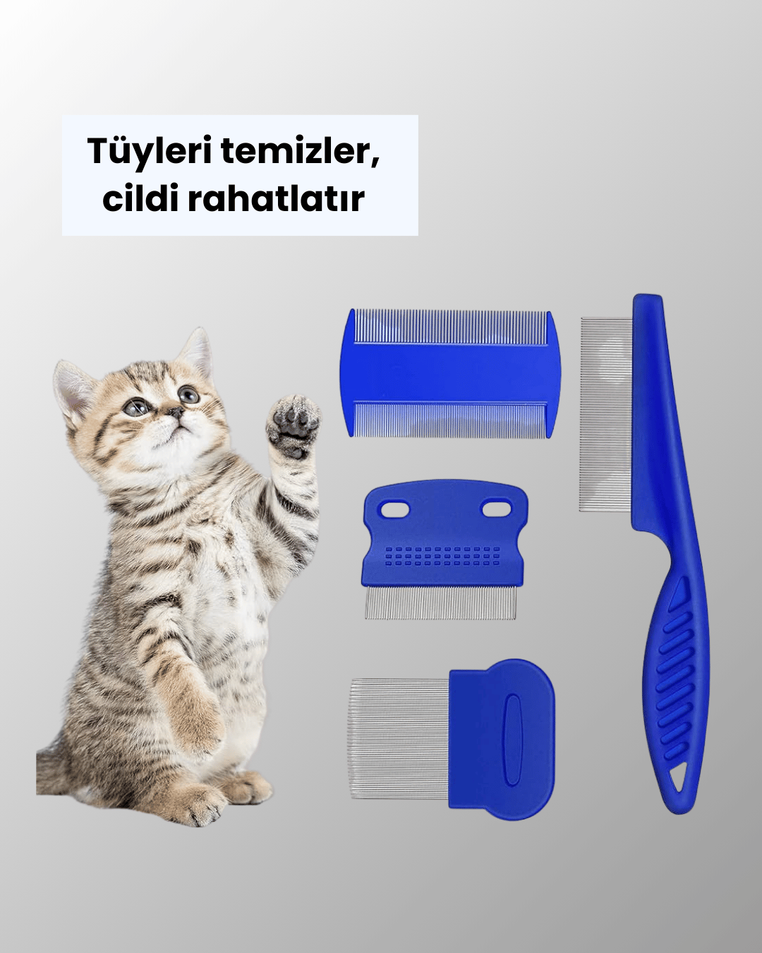 4 Parçalı Evcil Hayvan Tarak Seti – Paslanmaz Çelik Dişli, Ergonomik Saplı