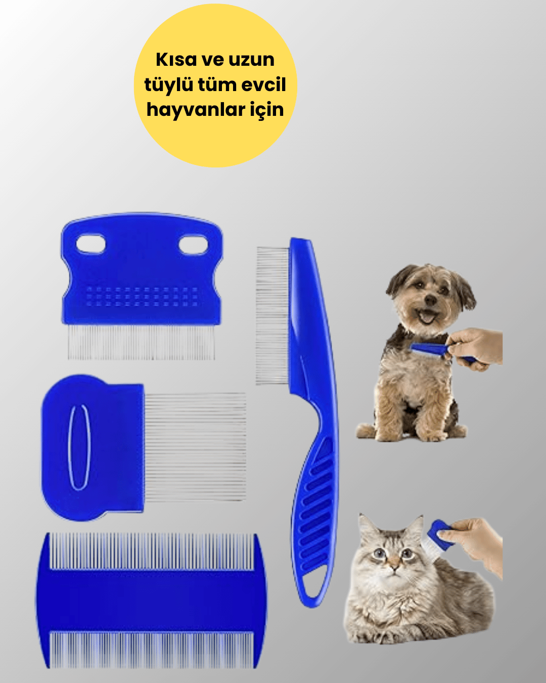4 Parçalı Evcil Hayvan Tarak Seti – Paslanmaz Çelik Dişli, Ergonomik Saplı
