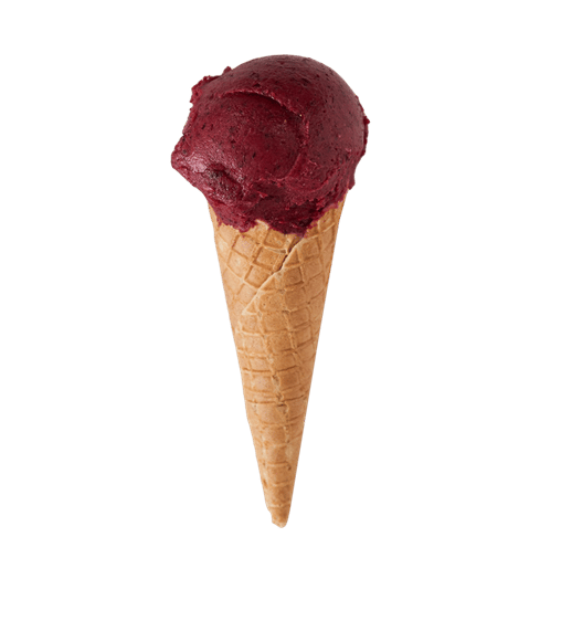 Serez Gurme Dondurma Alaçatı Sorbe 500 gr
