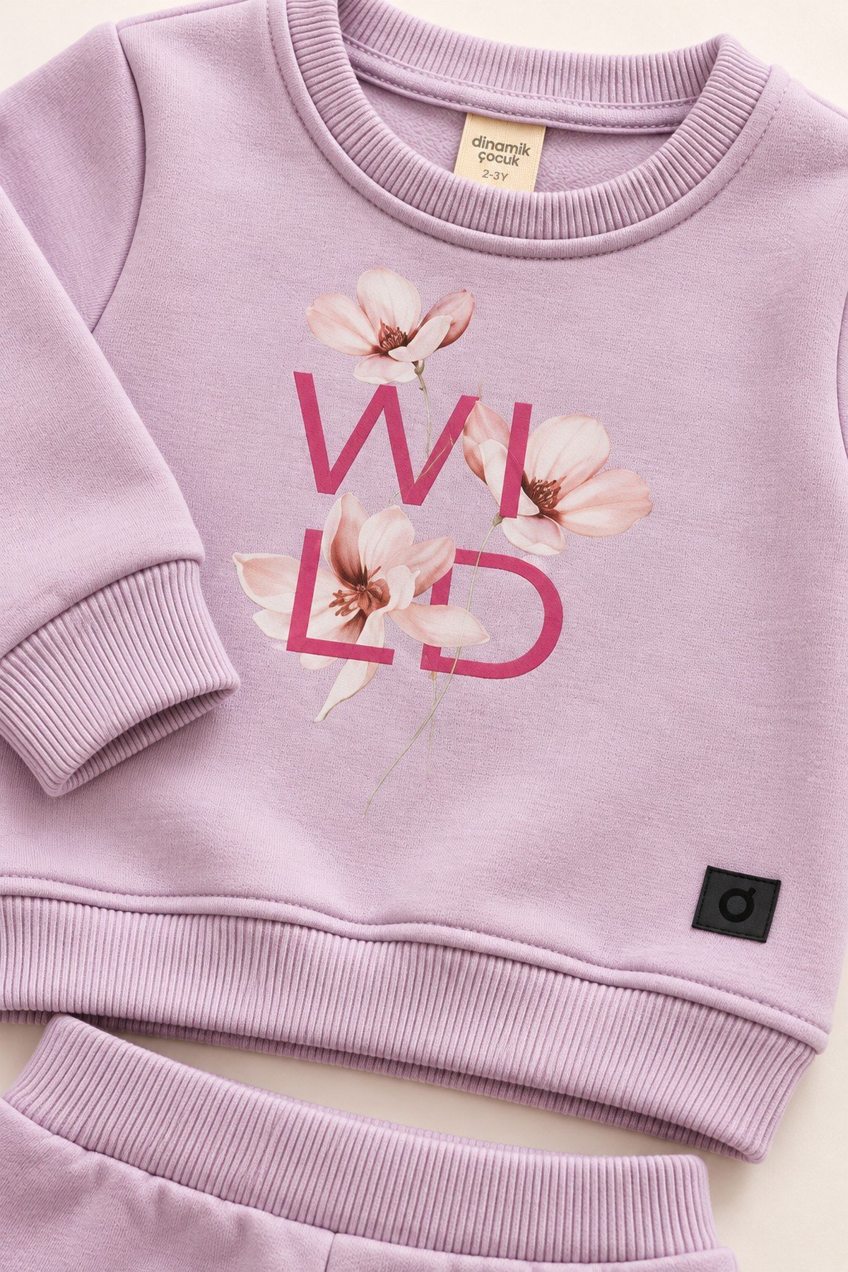 Kız Bebek Çocuk Çiçek Baskılı Şardonlu Bisiklet Yaka Sweatshirt ve Eşofman Altı 2'li Takım 2-5yaş