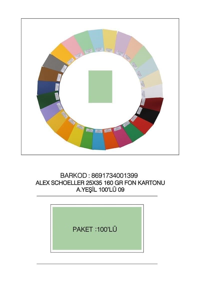 Alex Shoeller Fon Kartonu 25x35 No:09 Açık Yeşil 100'lü Paket