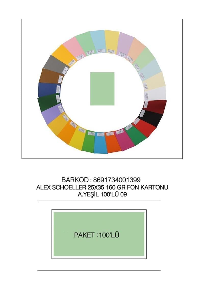 Alex Shoeller Fon Kartonu 25x35 No:09 Açık Yeşil 100'lü Paket
