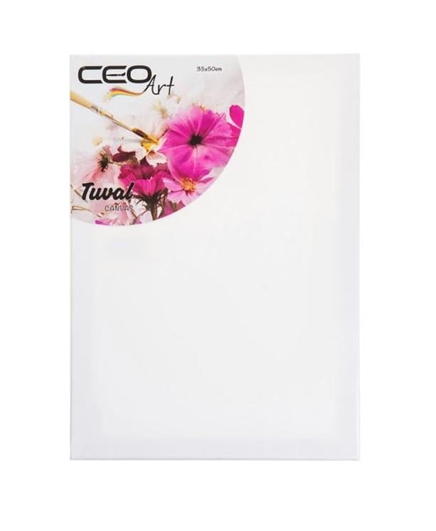 Ceoart Tuval 35x50 Düz