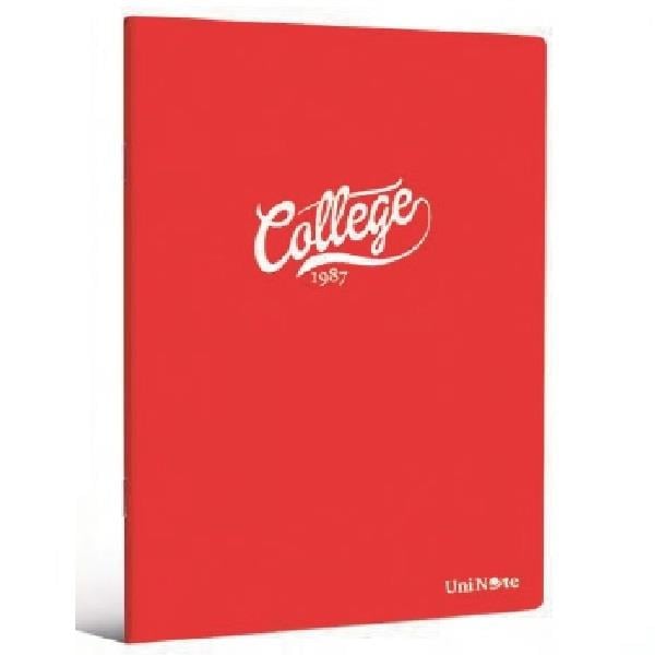 Çınar College Plastik Kapak A4 100 Yaprak Kareli Defter